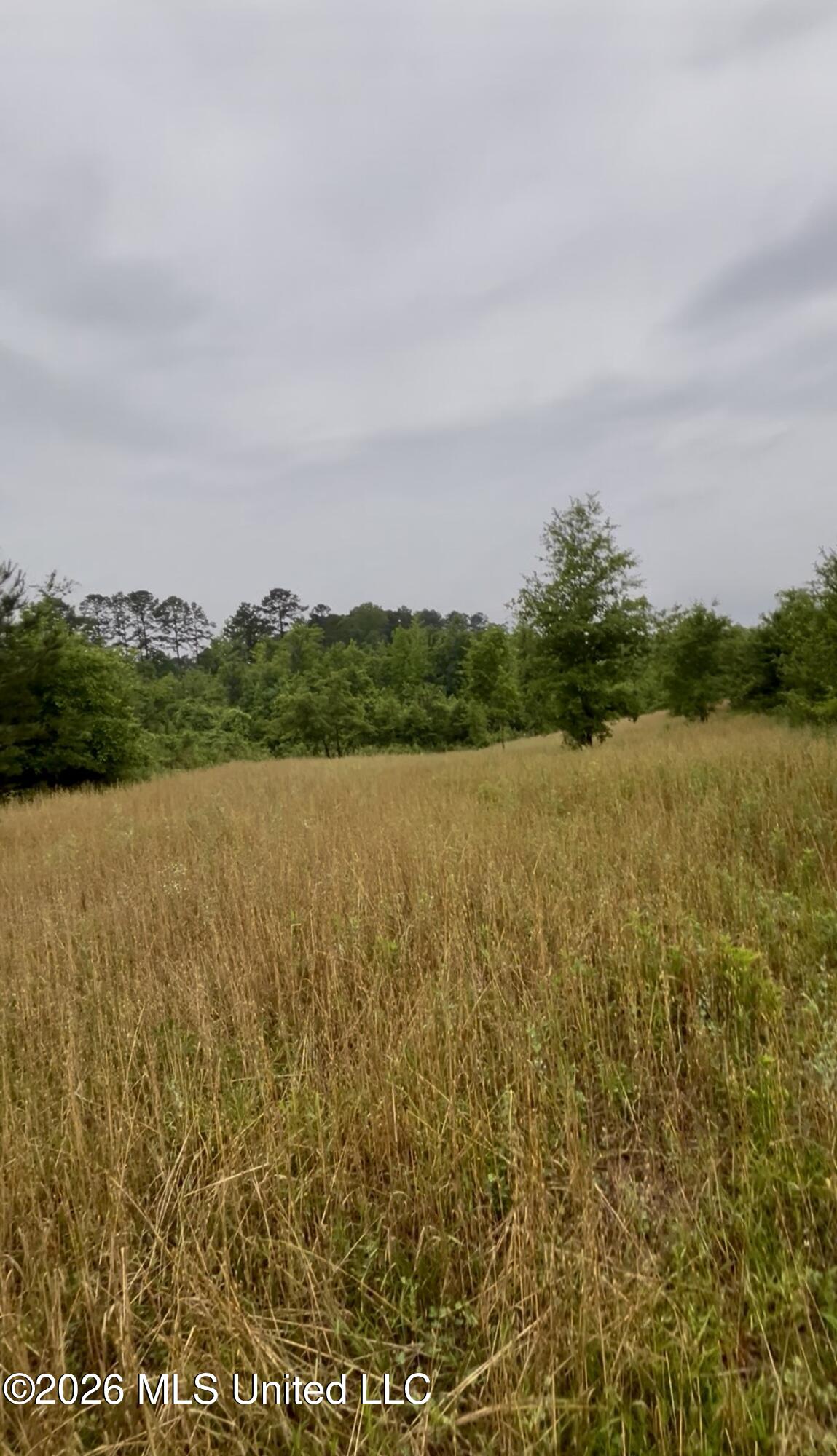 Ferguson Mill Road Silver Creek, MS 39663 - Photo 11 of 59 IMG_5117