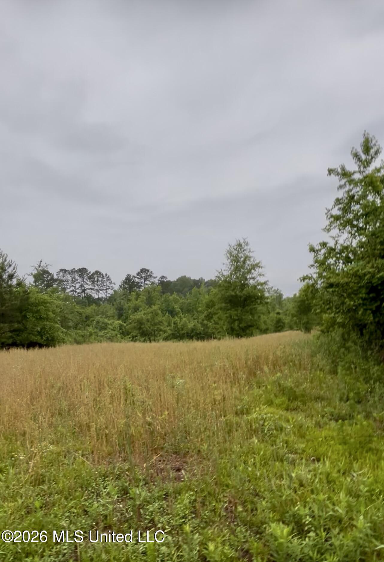 Ferguson Mill Road Silver Creek, MS 39663 - Photo 12 of 59 IMG_5114