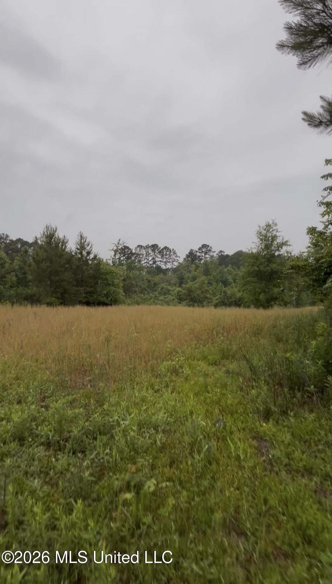 Ferguson Mill Road Silver Creek, MS 39663 - Photo 14 of 59 IMG_5113