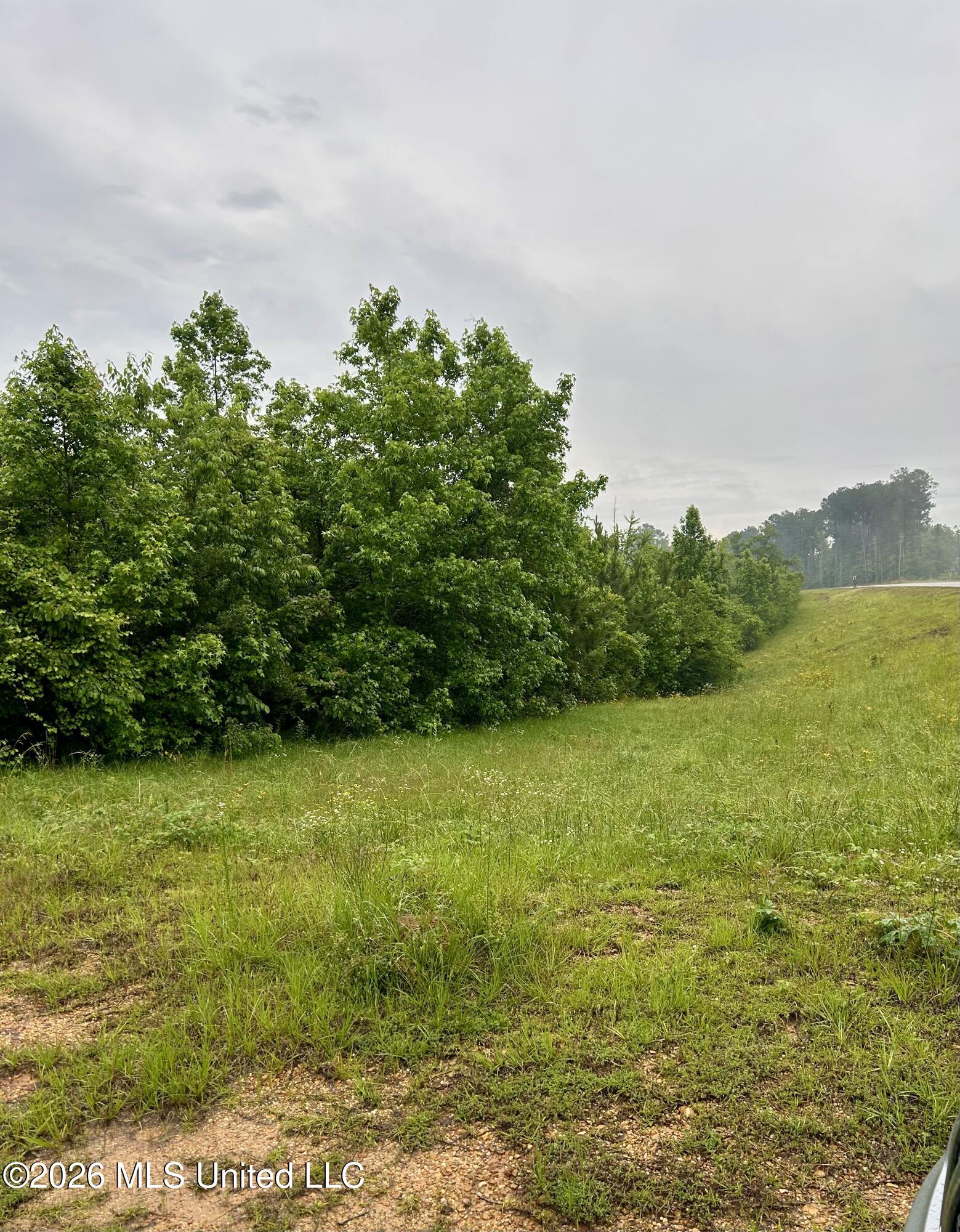 Ferguson Mill Road Silver Creek, MS 39663 - Photo 21 of 59 IMG_5017