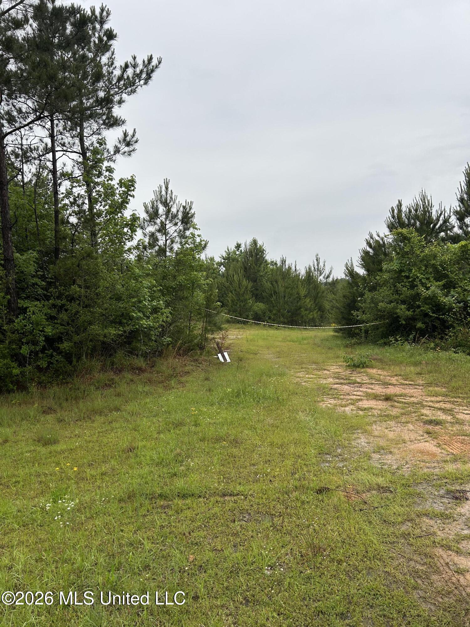 Ferguson Mill Road Silver Creek, MS 39663 - Photo 22 of 59 IMG_5016