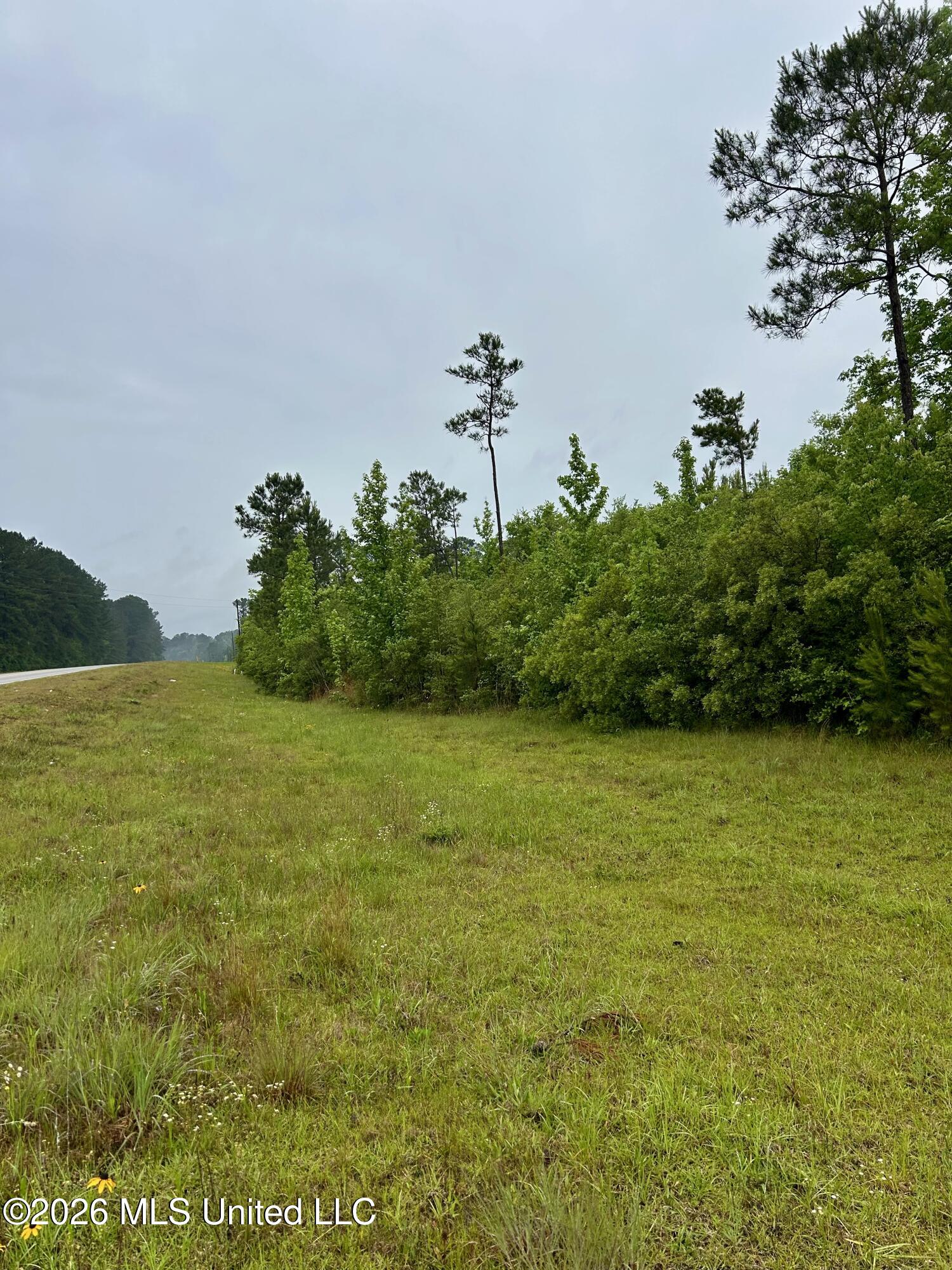 Ferguson Mill Road Silver Creek, MS 39663 - Photo 39 of 59 IMG_5014