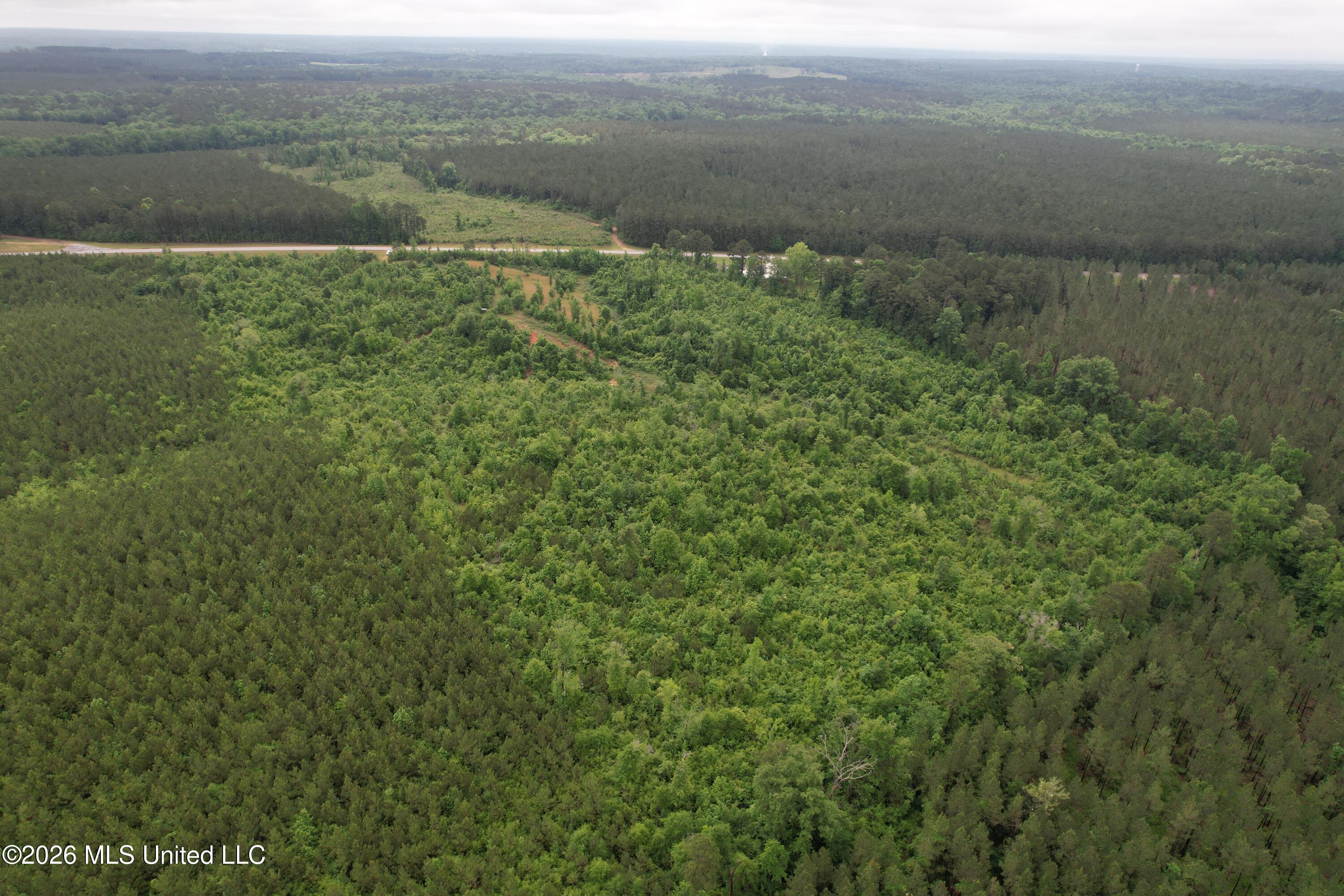Ferguson Mill Road Silver Creek, MS 39663 - Photo 50 of 59 DJI_0201