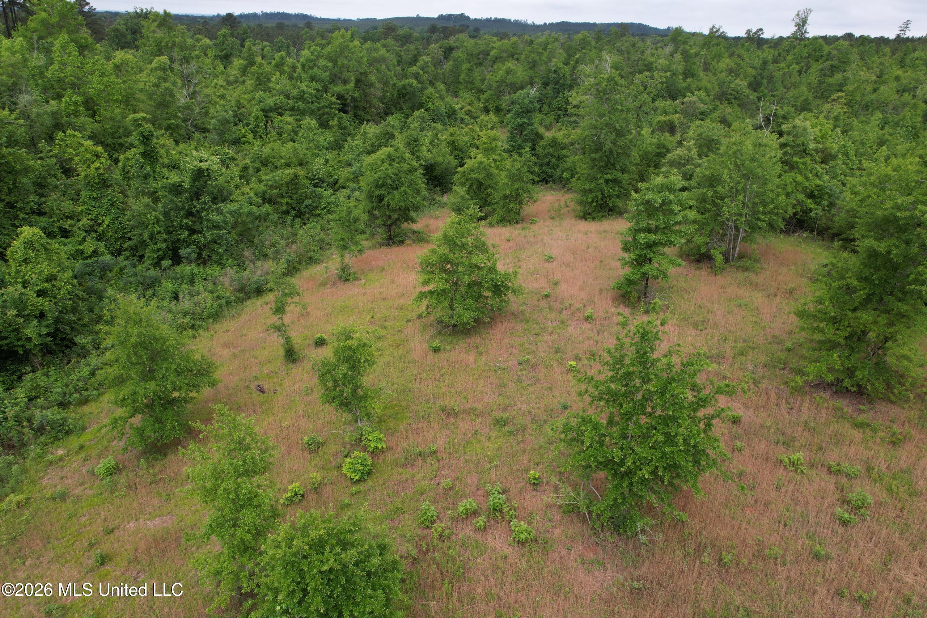 Ferguson Mill Road Silver Creek, MS 39663 - Photo 52 of 59 DJI_0203