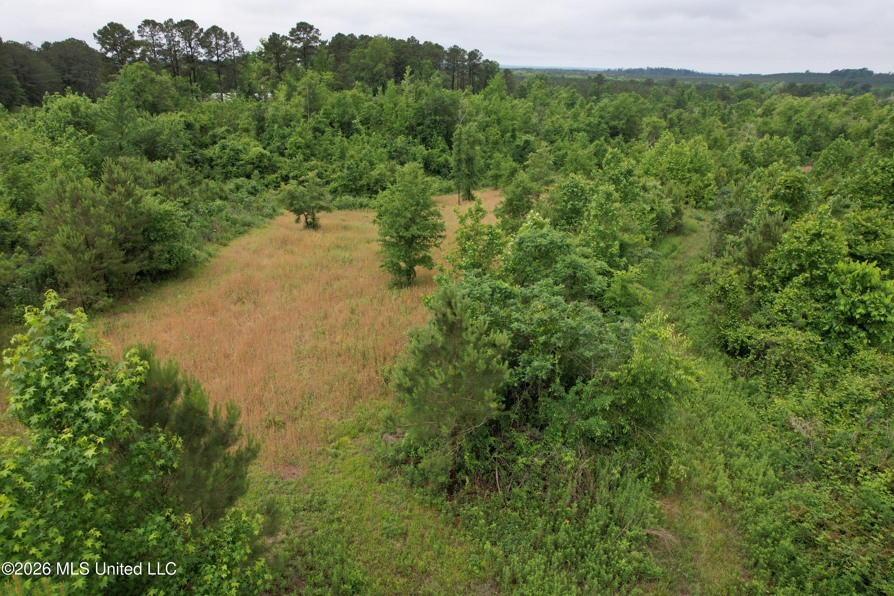 Ferguson Mill Road Silver Creek, MS 39663 - Photo 53 of 59 DJI_0205