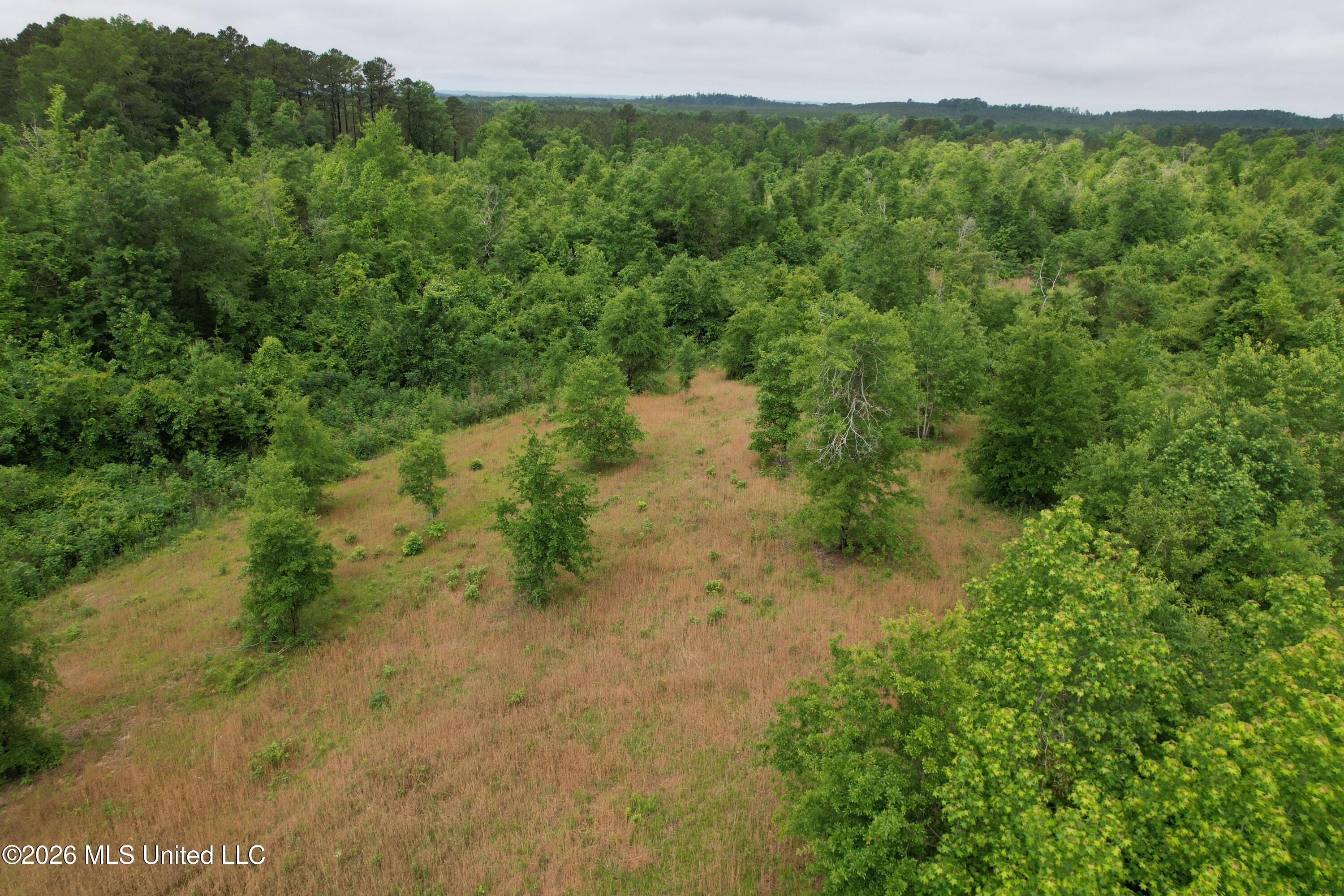 Ferguson Mill Road Silver Creek, MS 39663 - Photo 54 of 59 DJI_0206