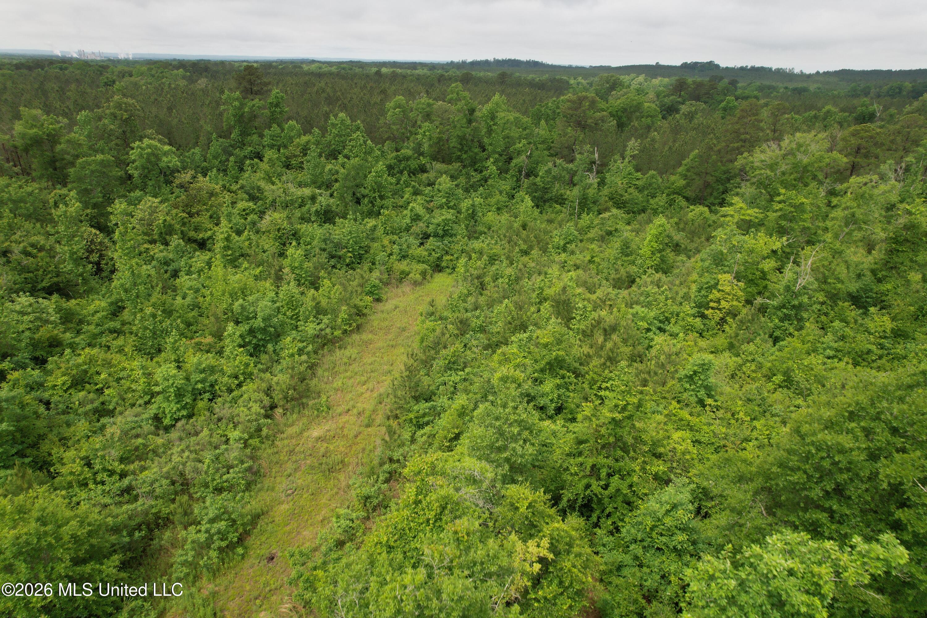 Ferguson Mill Road Silver Creek, MS 39663 - Photo 55 of 59 DJI_0207
