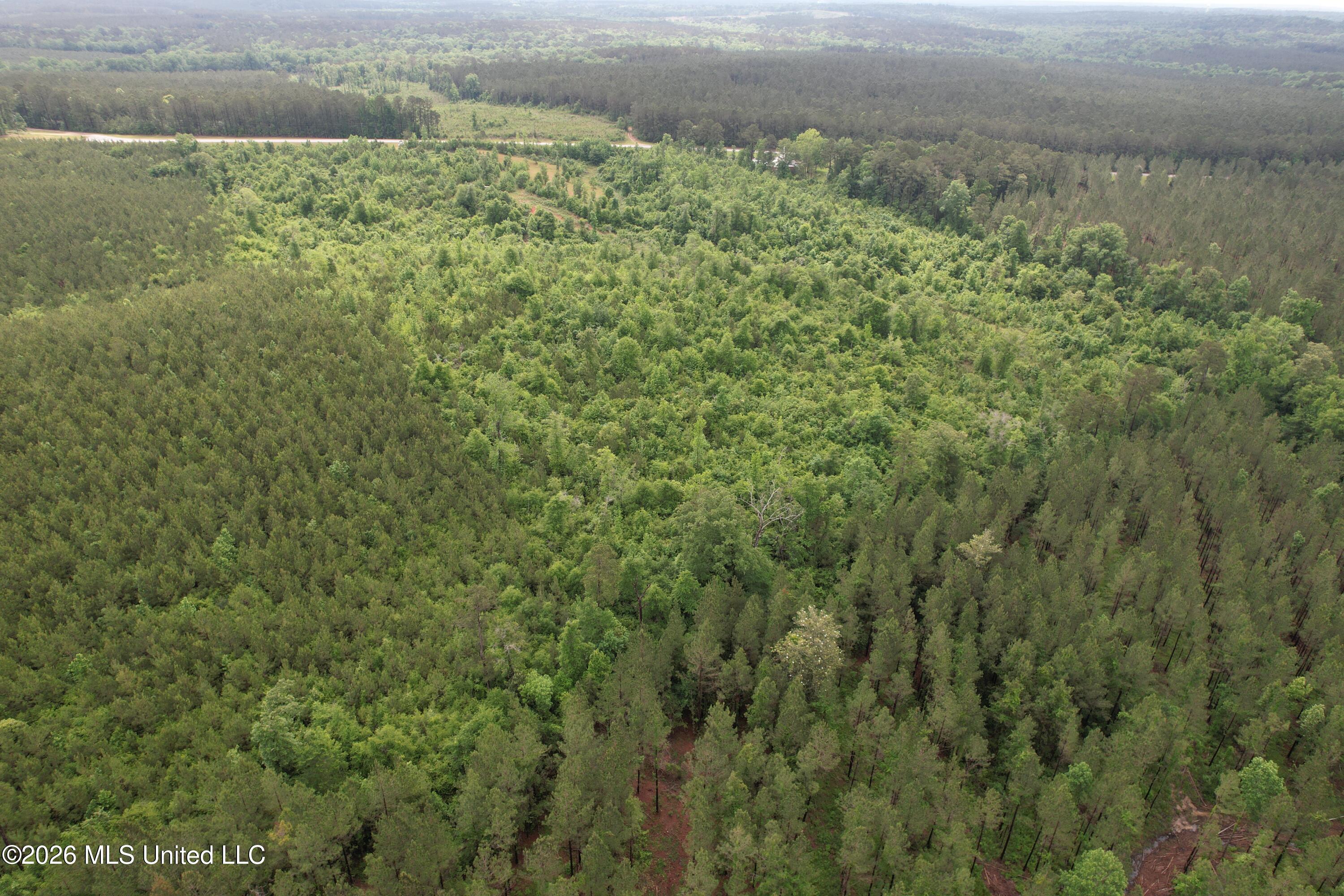 Ferguson Mill Road Silver Creek, MS 39663 - Photo 56 of 59 DJI_0208
