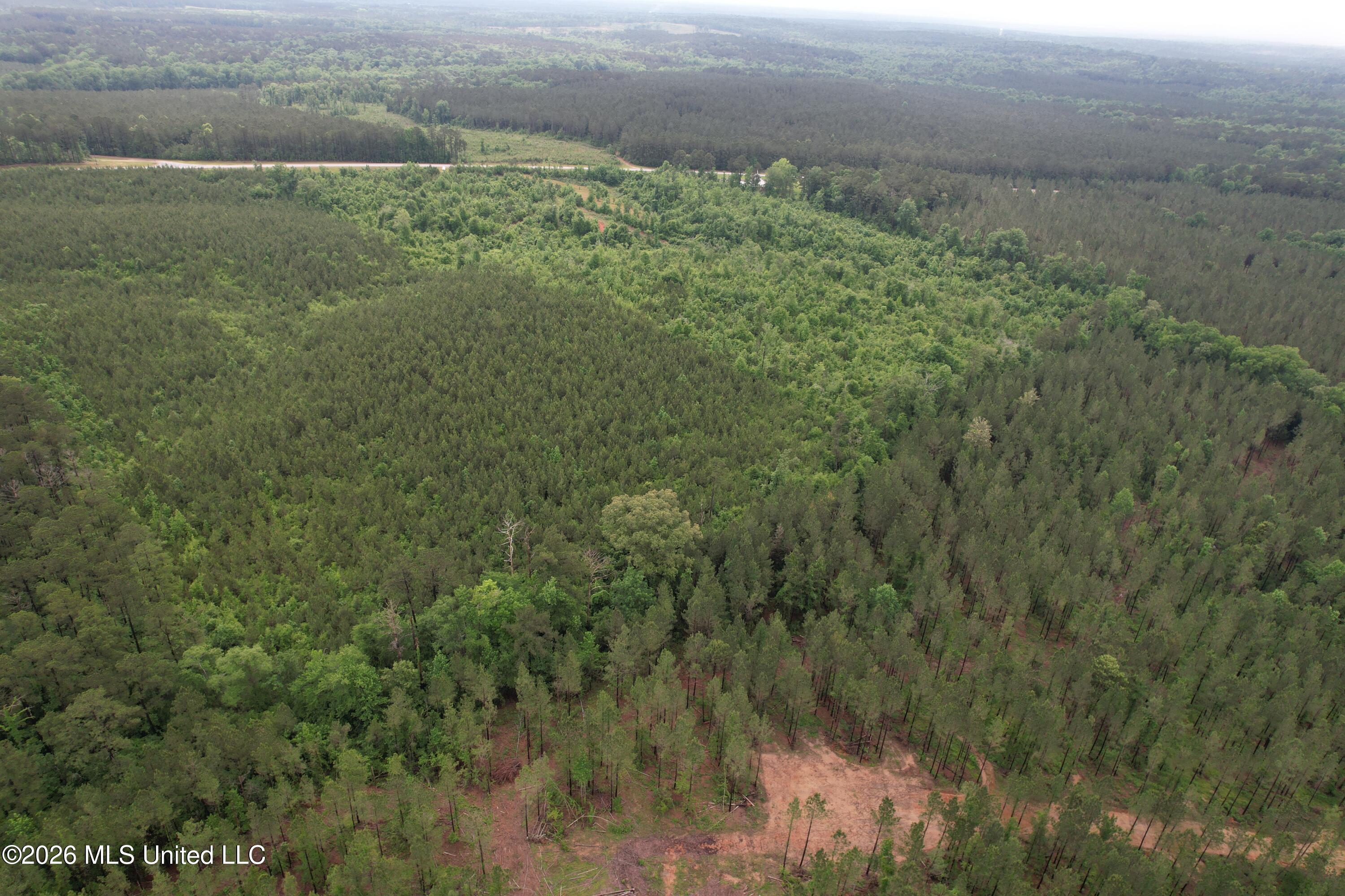 Ferguson Mill Road Silver Creek, MS 39663 - Photo 57 of 59 DJI_0209