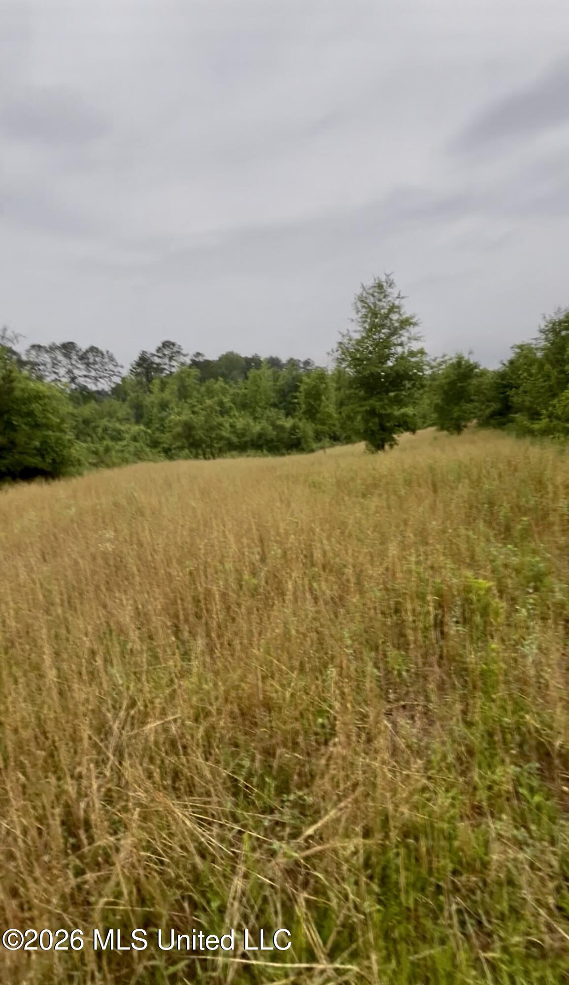 Ferguson Mill Road Silver Creek, MS 39663 - Photo 10 of 59 IMG_5116