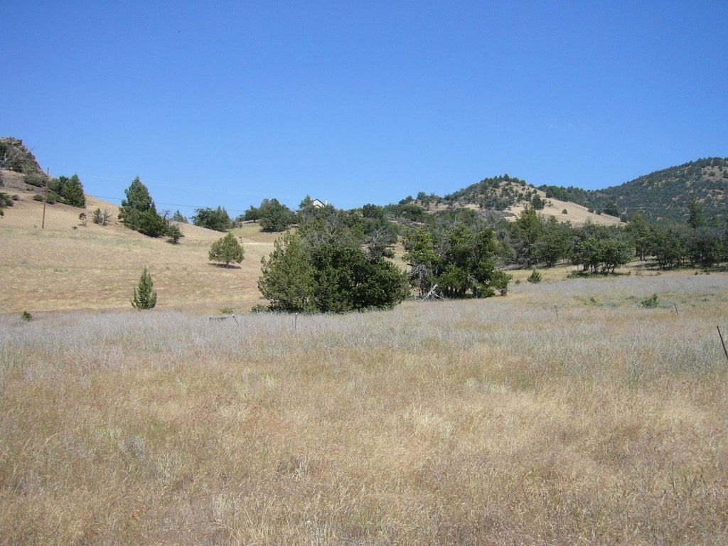 10 Acres Omega Road Montague, CA 96064 - Photo 13 of 16 Gallery Image 13