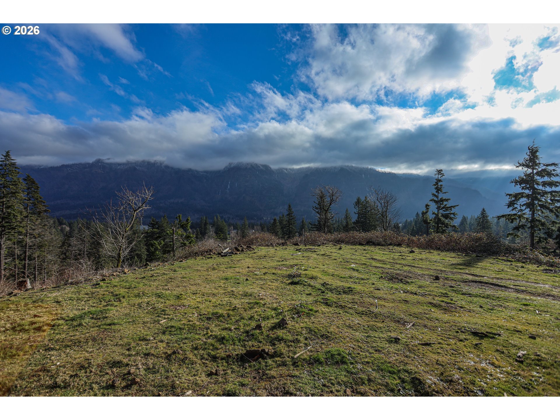 562 Woodard Creek Road Stevenson, WA 98648 - Photo 31 of 33