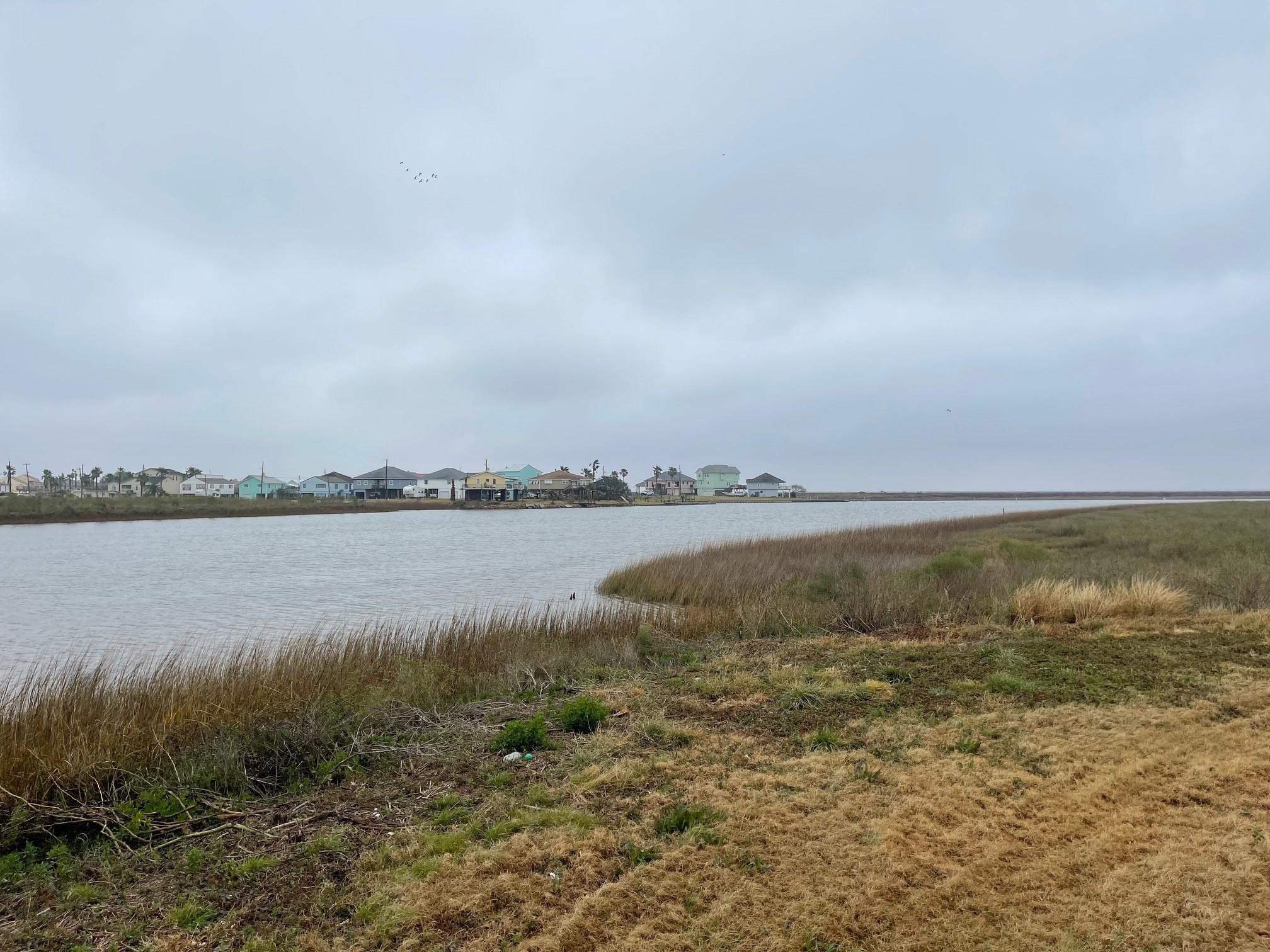 0 County Road Freeport, TX 77541 - Photo 8 of 10