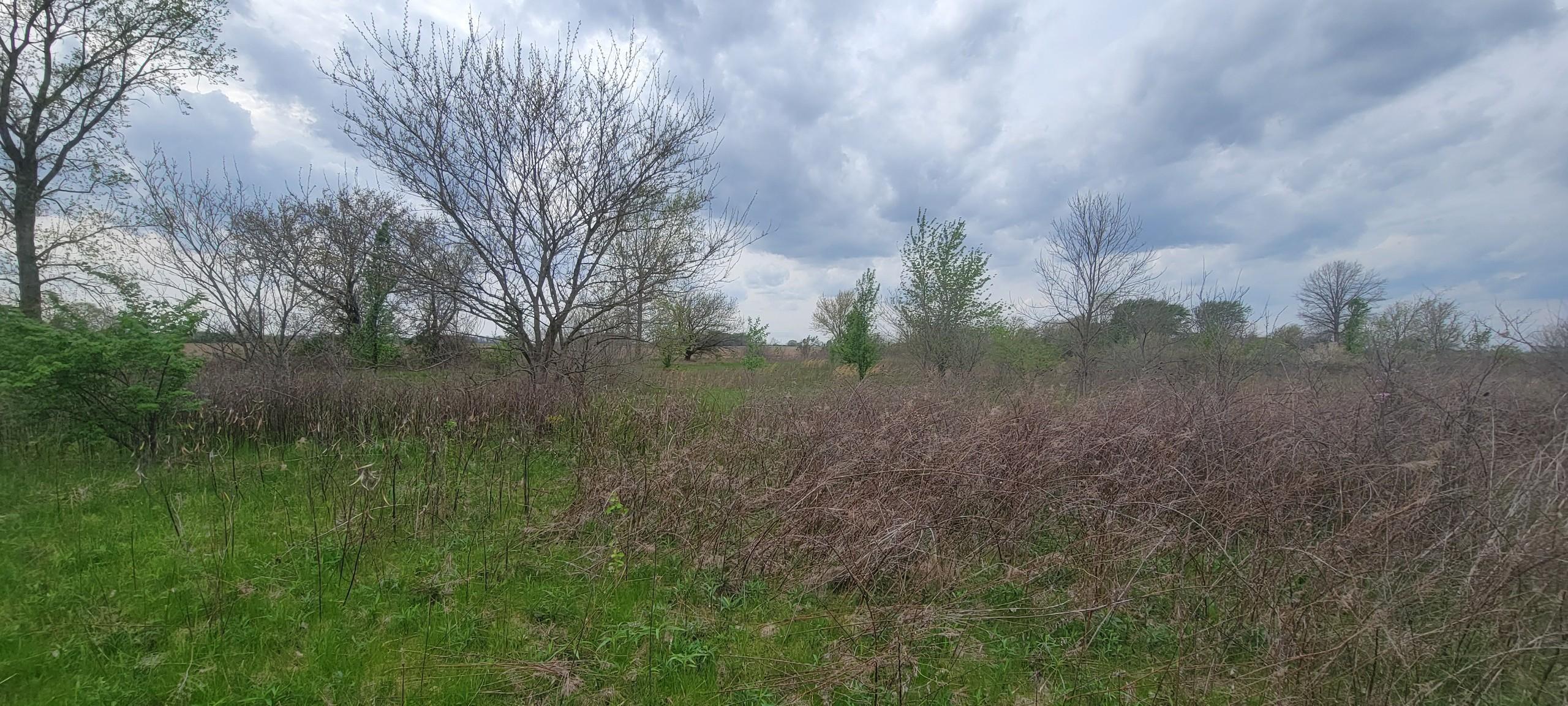 0 Federal Road Orient, OH 43146 - Photo 2 of 24 Resized_20260415_160322