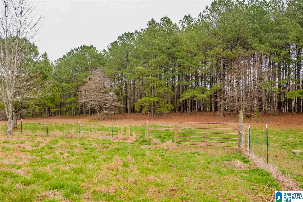 1085 Jones Chapel Loop Springville, AL 35146 - Photo 26 of 32