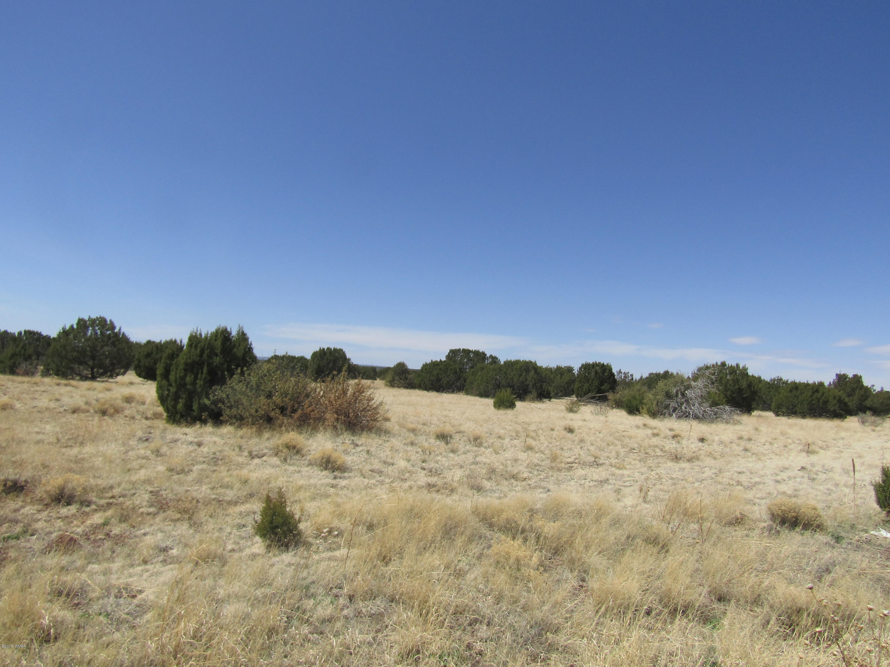 1227 South Bourdon Ranch Show Low, AZ 85901 - Photo 2 of 7