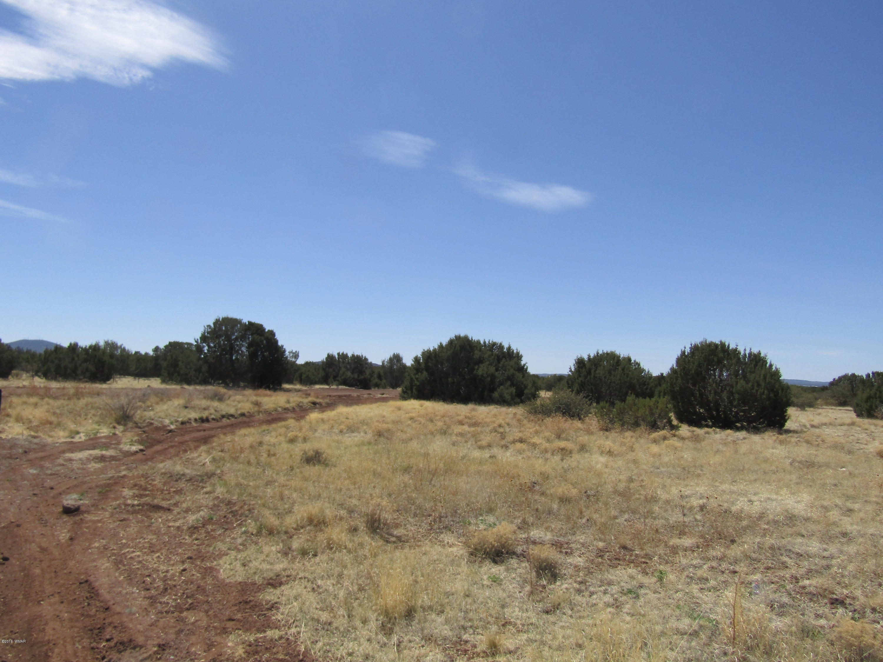 1227 South Bourdon Ranch Show Low, AZ 85901 - Photo 3 of 7