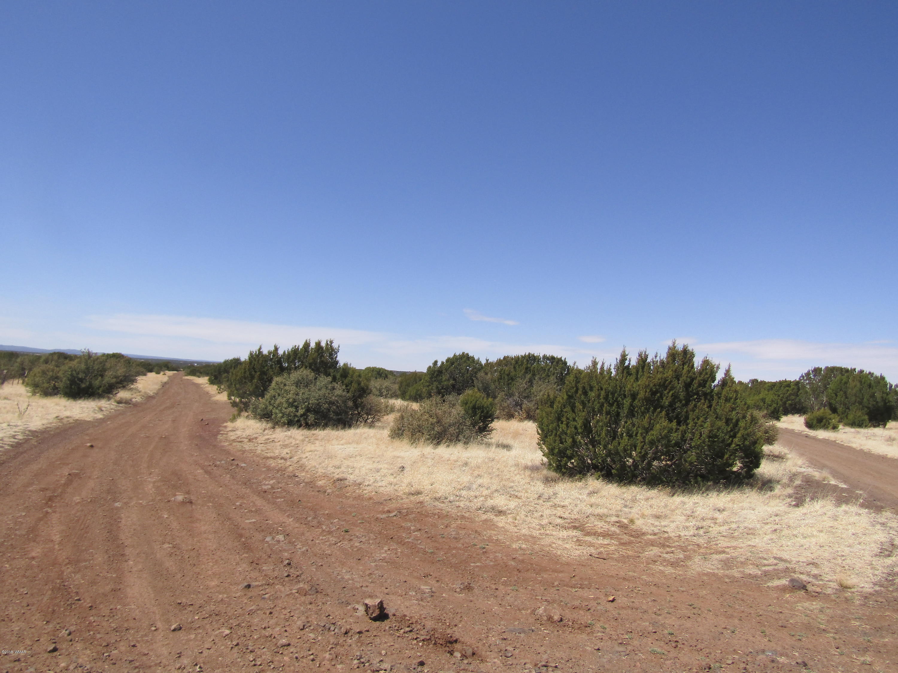 1227 South Bourdon Ranch Show Low, AZ 85901 - Photo 4 of 7