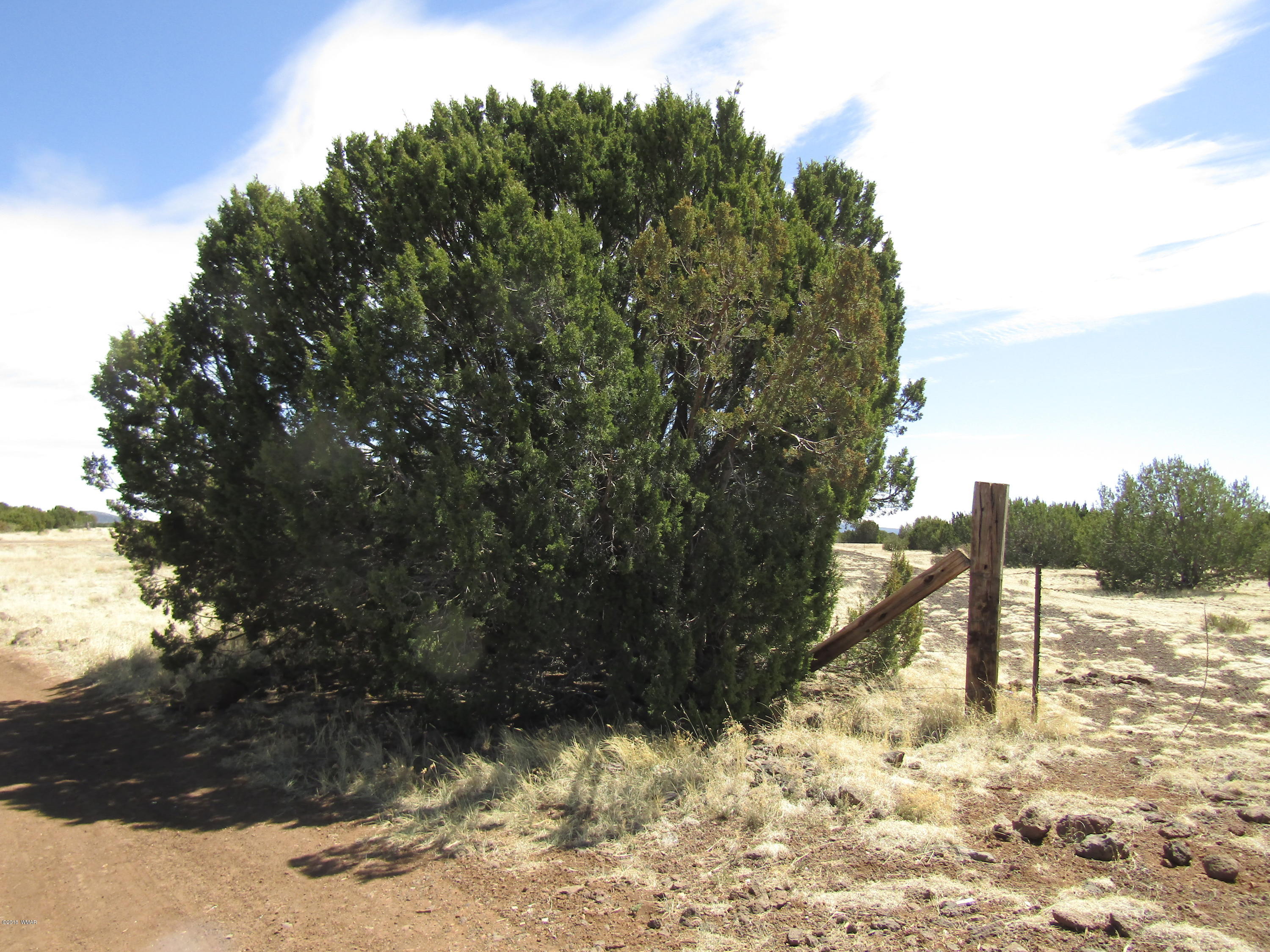 1227 South Bourdon Ranch Show Low, AZ 85901 - Photo 6 of 7