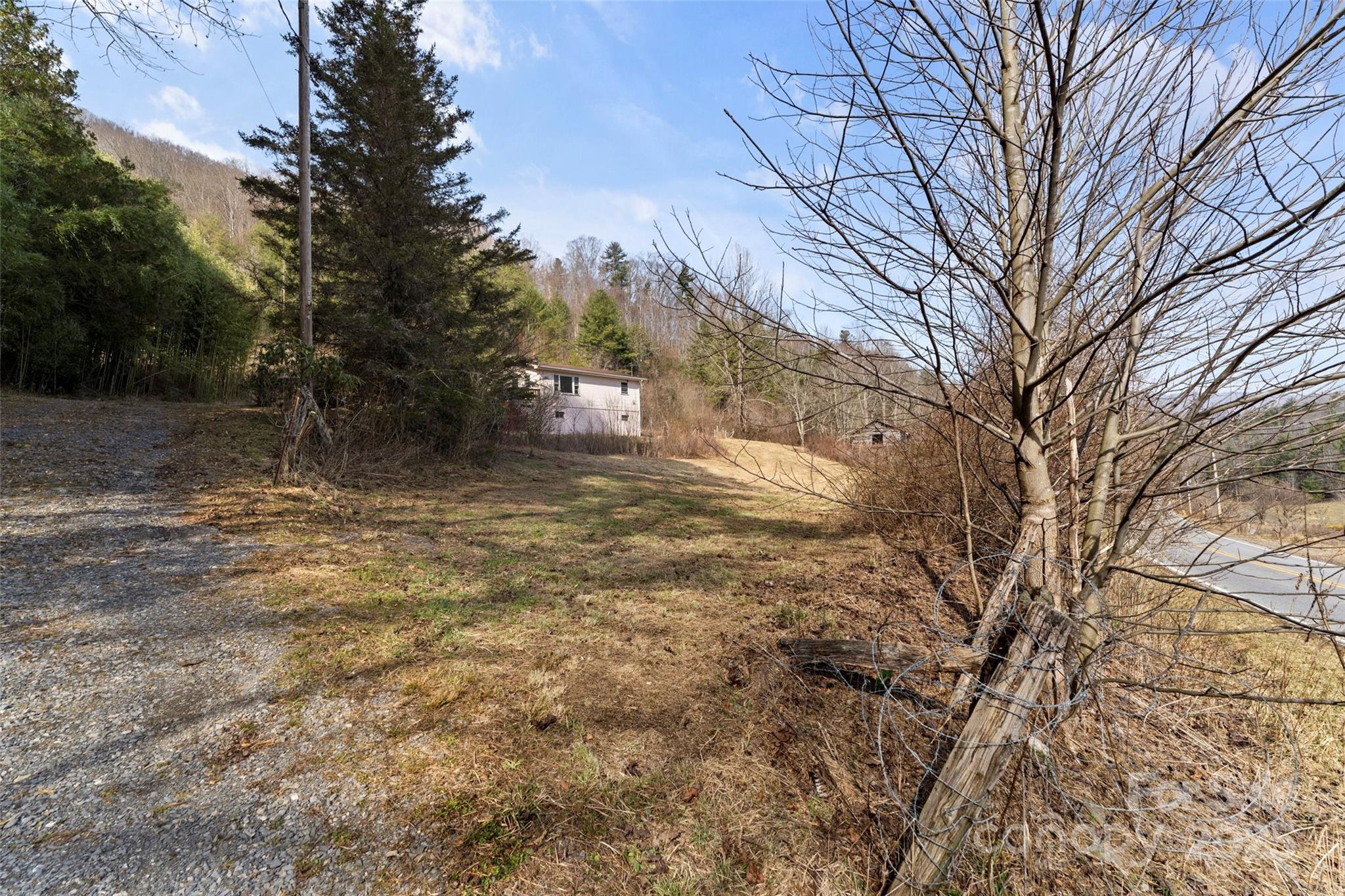10999 Rush Fork Road Clyde, NC 28721 - Photo 11 of 38 a view of backyard with large trees