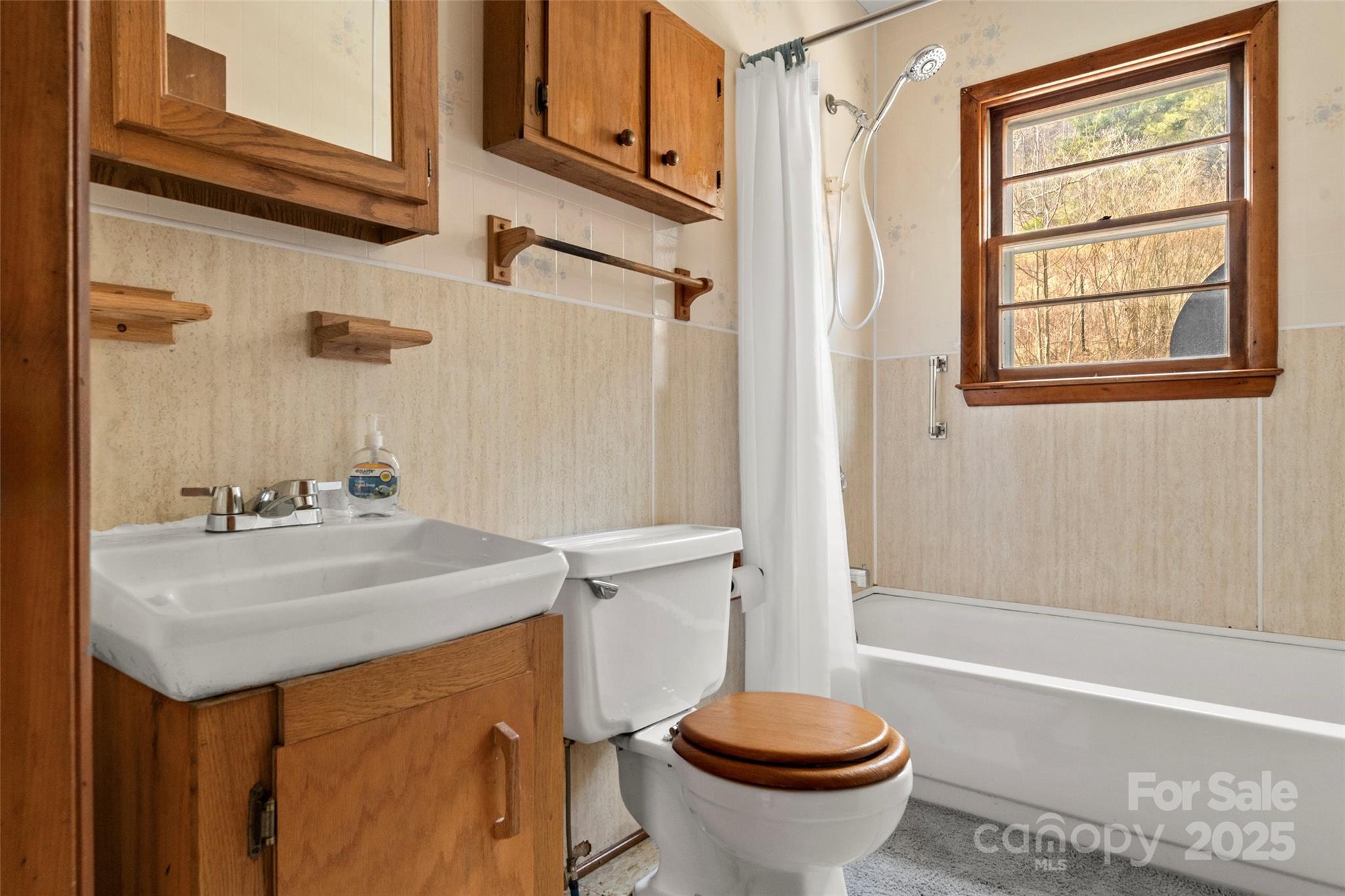 10999 Rush Fork Road Clyde, NC 28721 - Photo 20 of 38 a bathroom with a sink toilet and shower