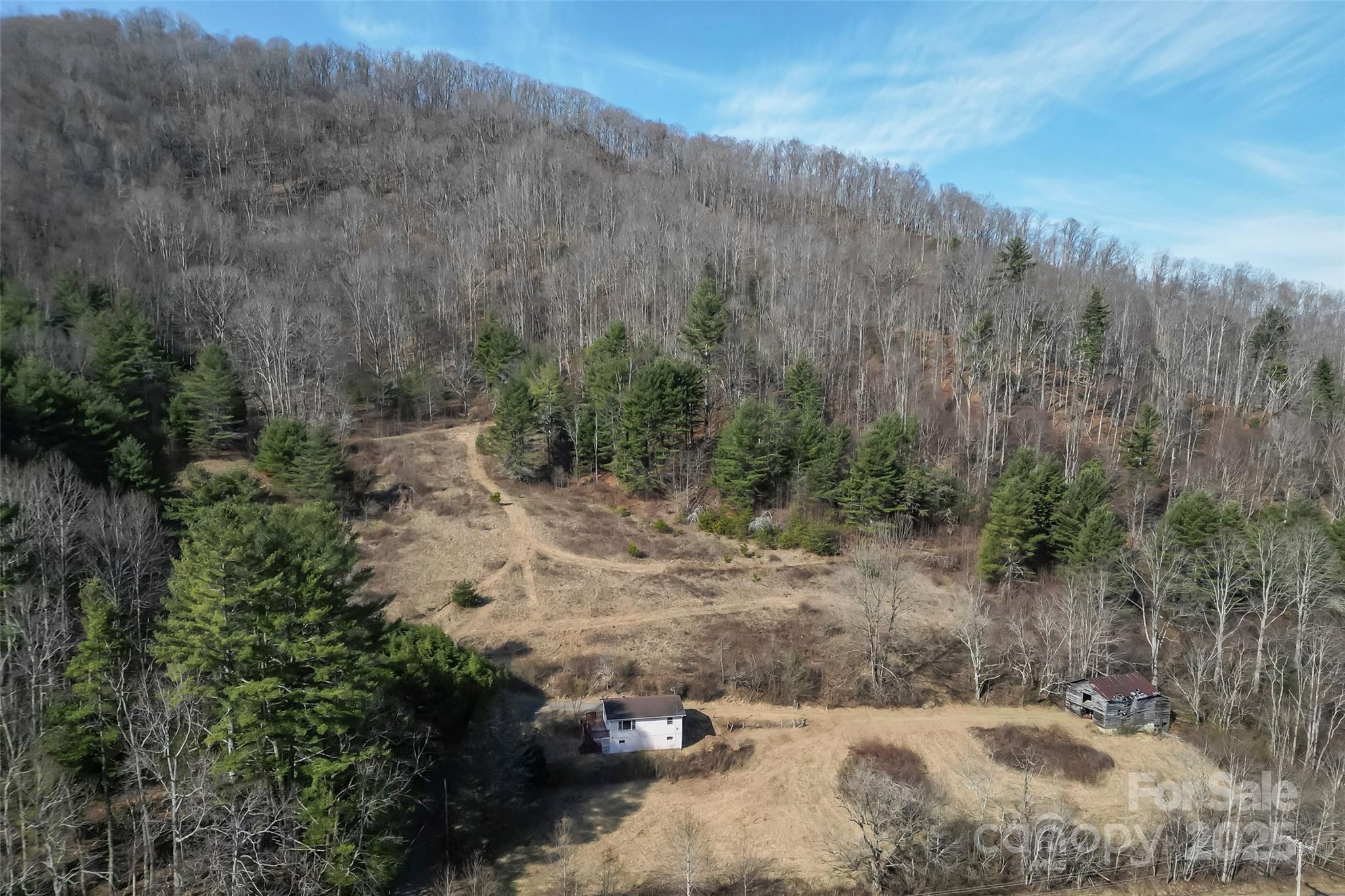 10999 Rush Fork Road Clyde, NC 28721 - Photo 2 of 38 a view of a dry yard with trees