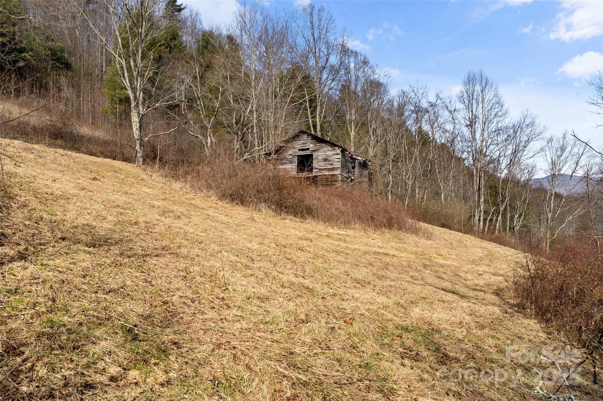 10999 Rush Fork Road Clyde, NC 28721 - Photo 22 of 38 a view of a yard with trees