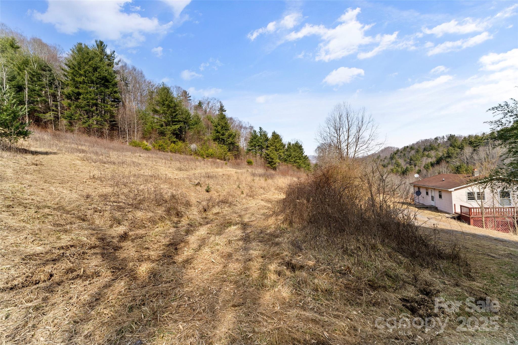 10999 Rush Fork Road Clyde, NC 28721 - Photo 23 of 38 a view of a dry yard with trees in the background