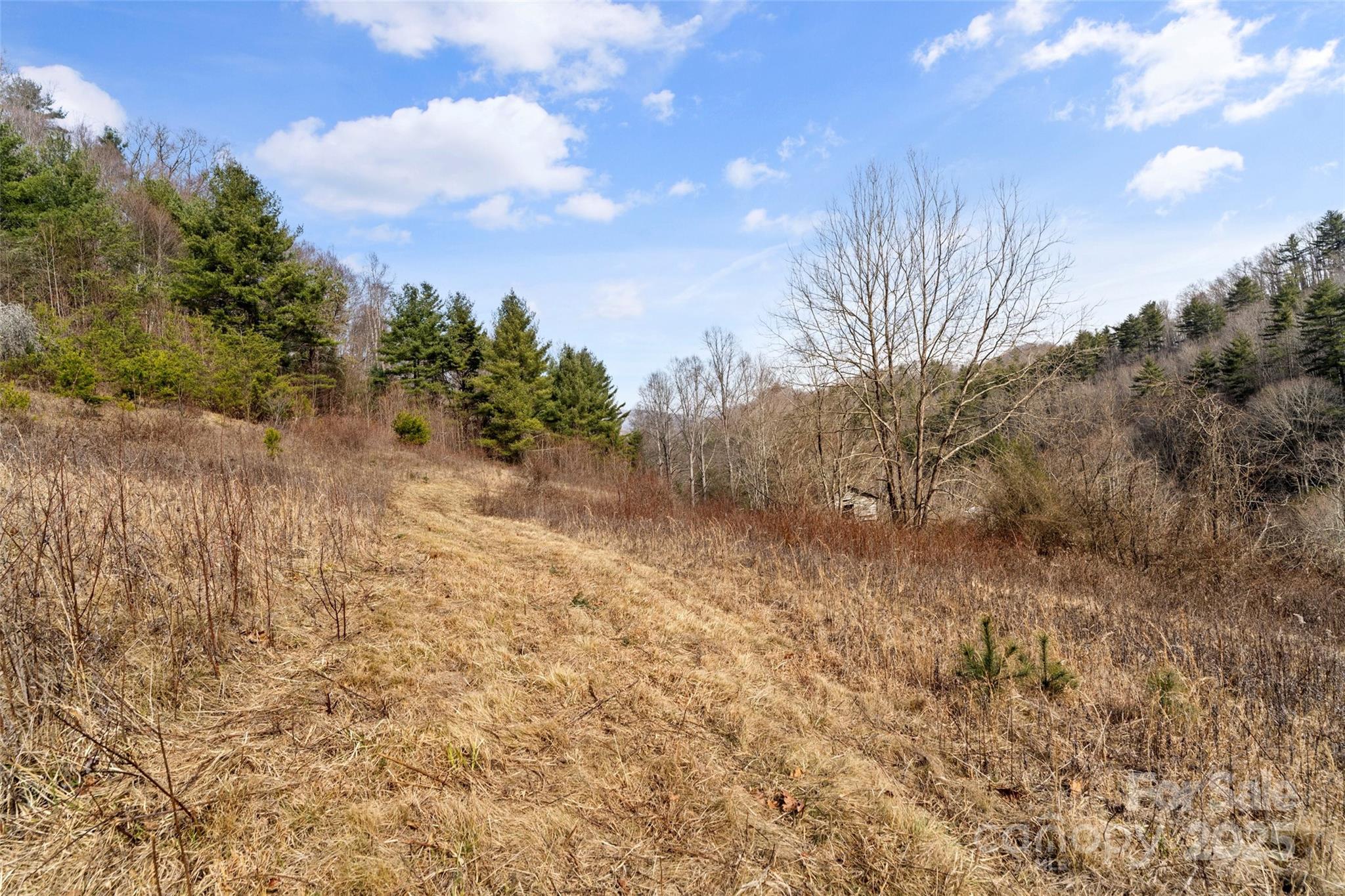 10999 Rush Fork Road Clyde, NC 28721 - Photo 24 of 38 a view of a dry yard with trees
