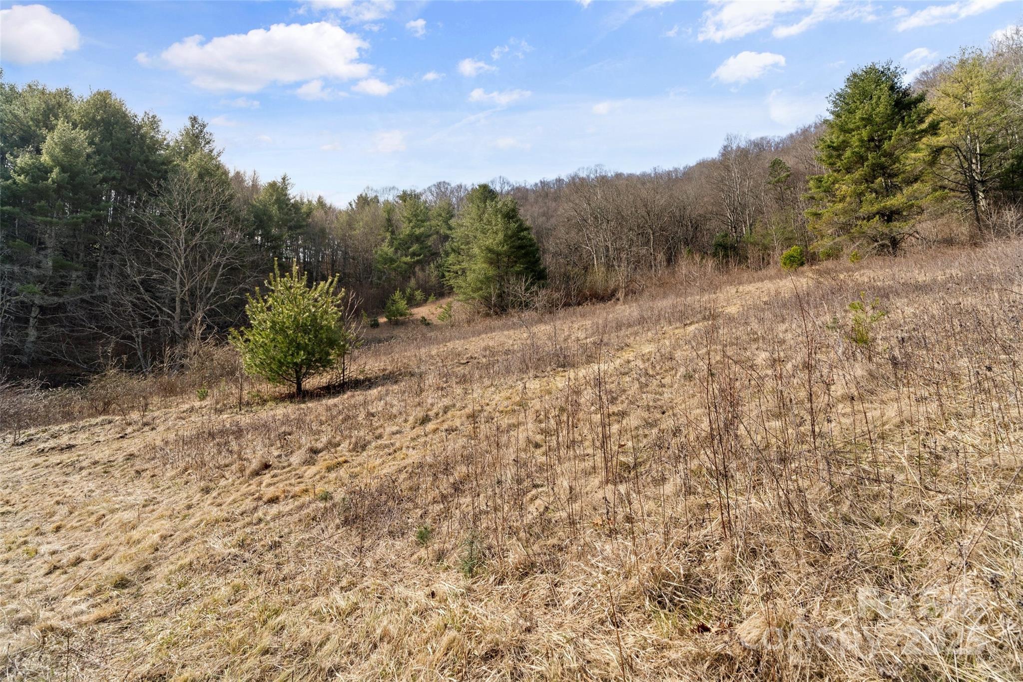 10999 Rush Fork Road Clyde, NC 28721 - Photo 25 of 38 a view of a yard with trees in the background