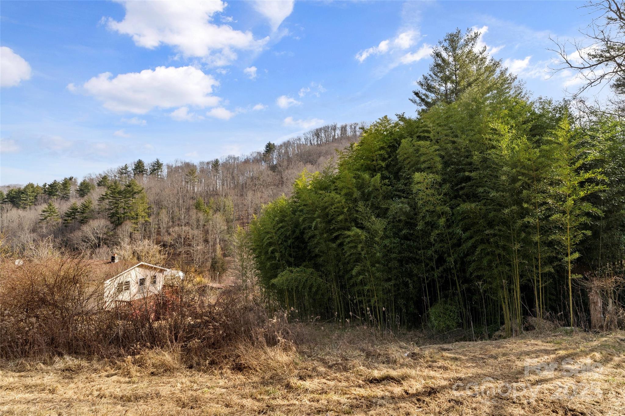 10999 Rush Fork Road Clyde, NC 28721 - Photo 26 of 38 a view of outdoor space with mountain view