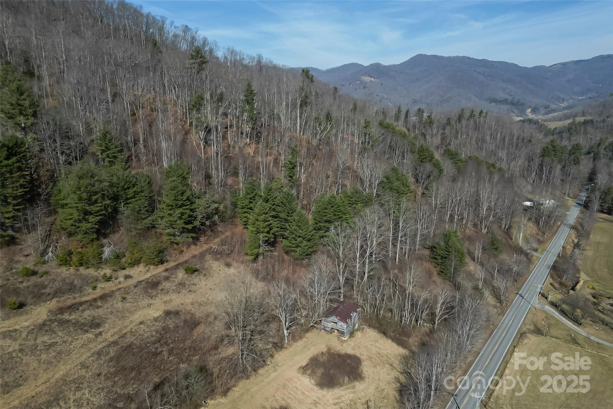 10999 Rush Fork Road Clyde, NC 28721 - Photo 28 of 38 a view of a dry field with a tree in the background