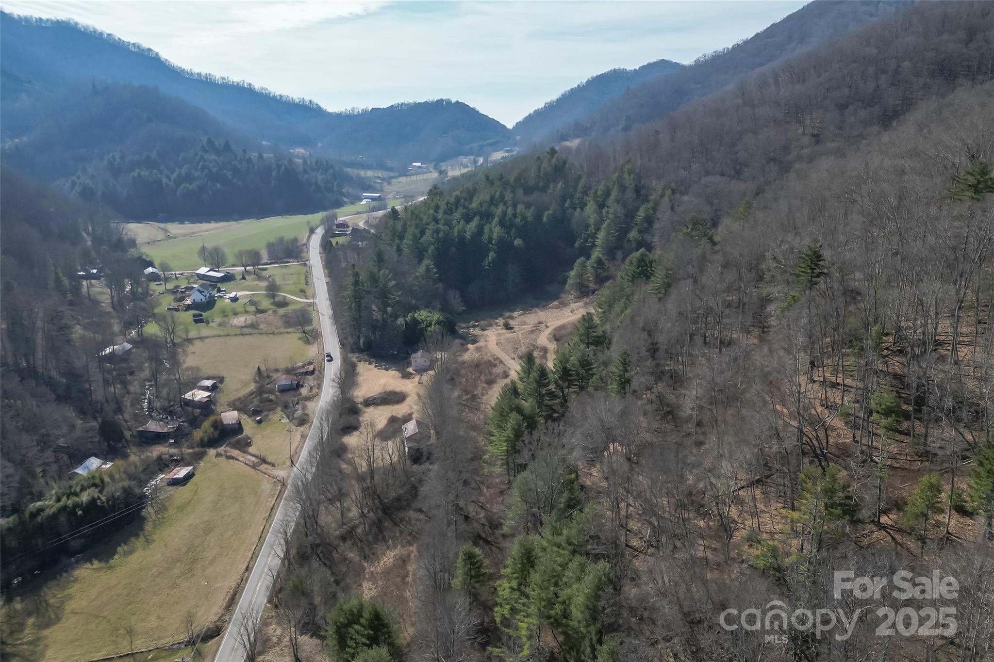 10999 Rush Fork Road Clyde, NC 28721 - Photo 29 of 38 a view of a lot of trees in a field