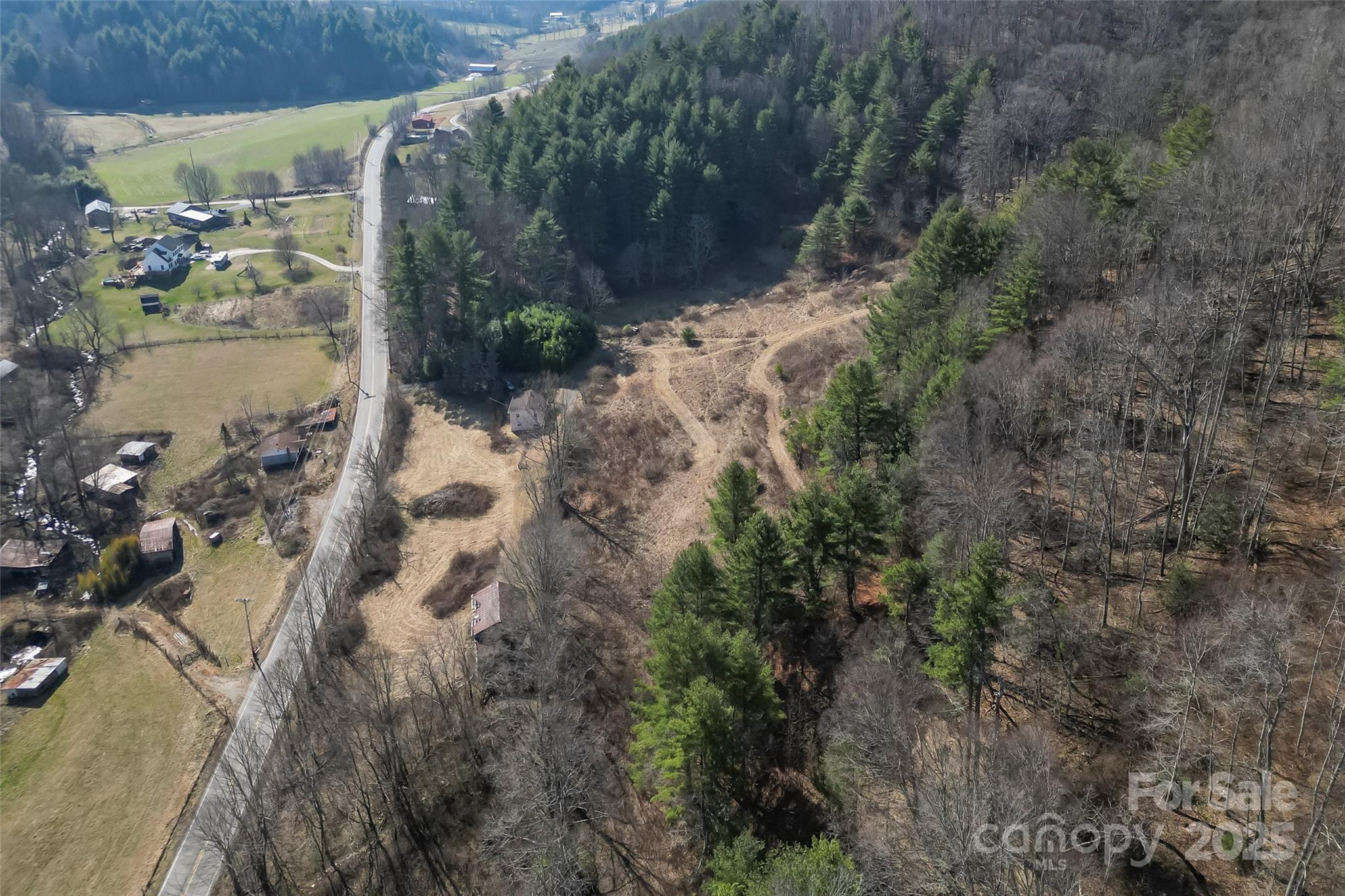 10999 Rush Fork Road Clyde, NC 28721 - Photo 30 of 38 a view of a yard with plants and large trees