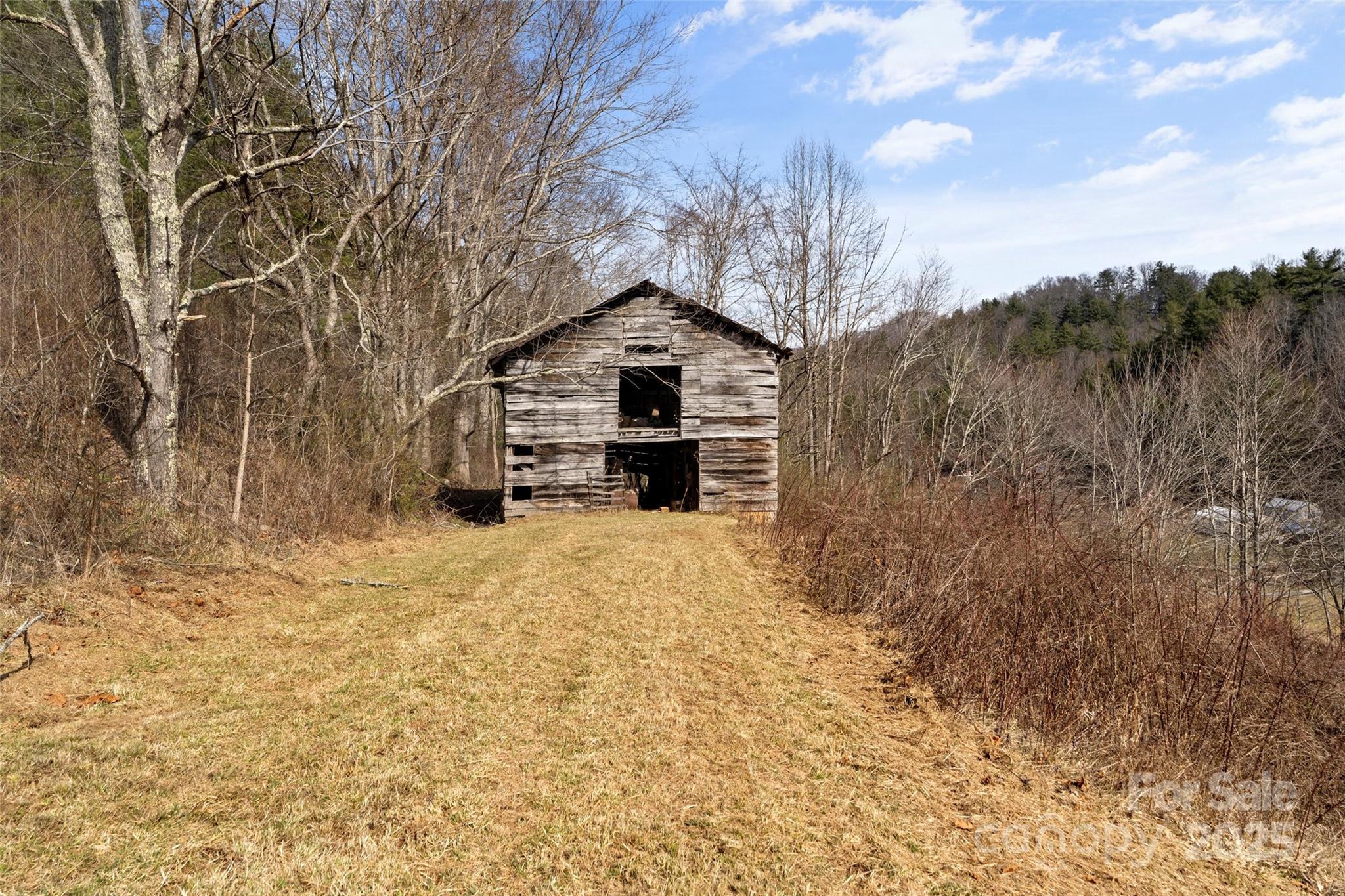 10999 Rush Fork Road Clyde, NC 28721 - Photo 3 of 38 a big house with a big yard and large trees