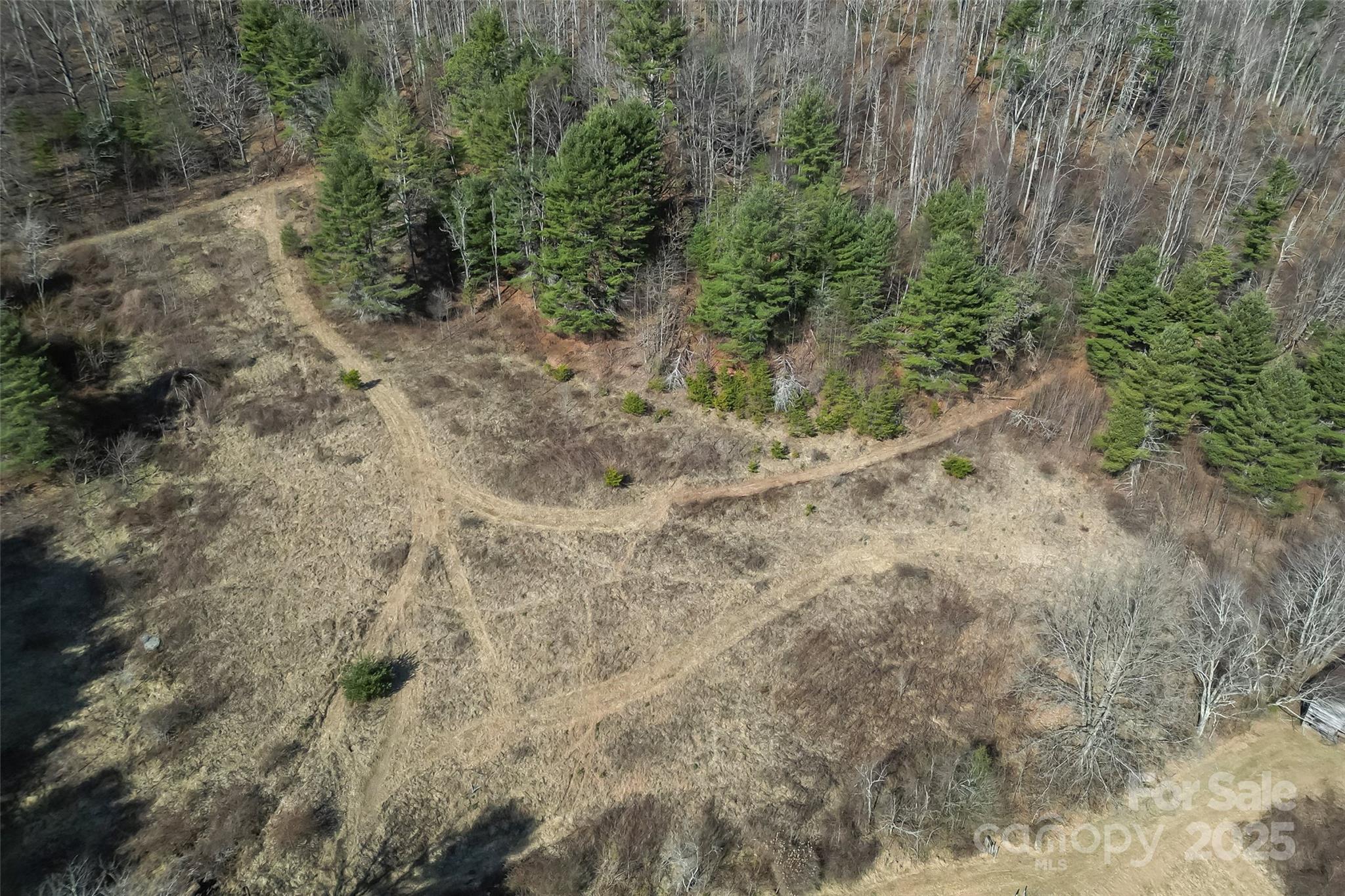10999 Rush Fork Road Clyde, NC 28721 - Photo 31 of 38 a view of a dry yard with trees all around