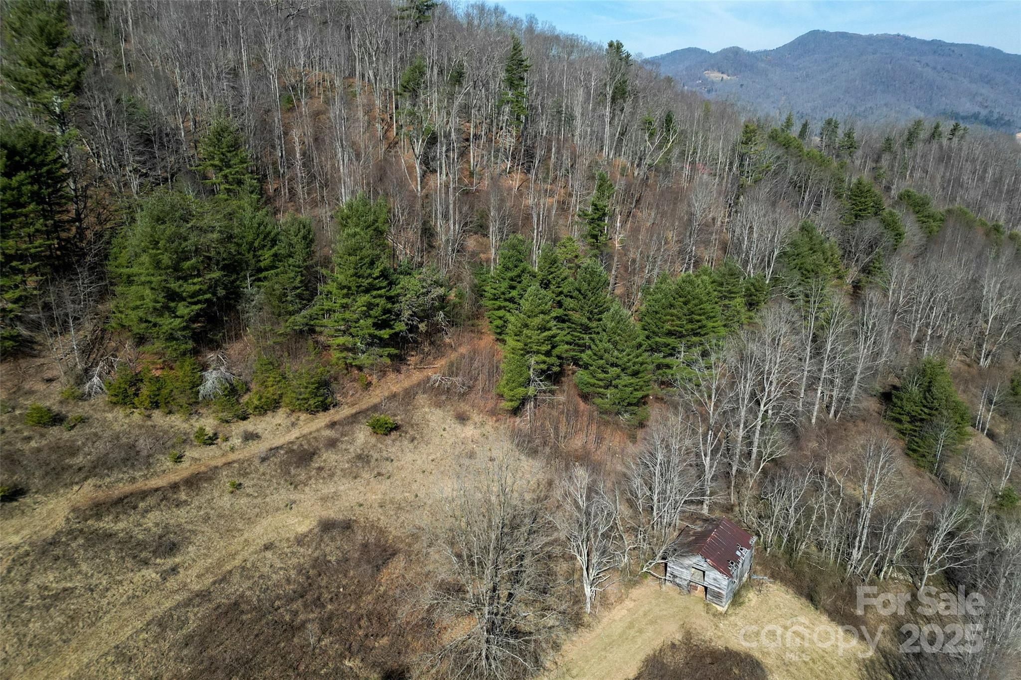 10999 Rush Fork Road Clyde, NC 28721 - Photo 32 of 38 a view of a yard with a tree