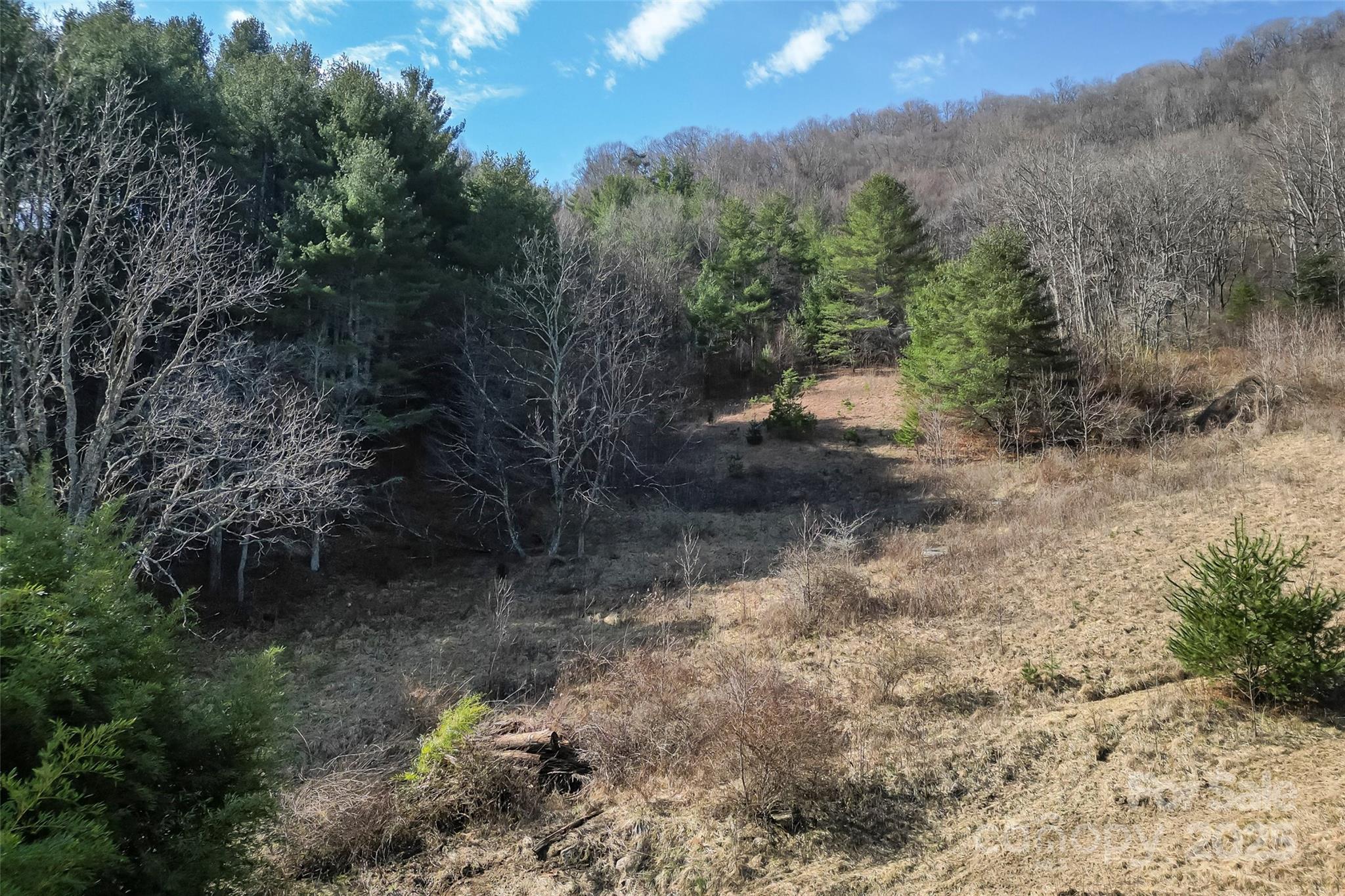 10999 Rush Fork Road Clyde, NC 28721 - Photo 33 of 38 a view of a forest with trees in the background