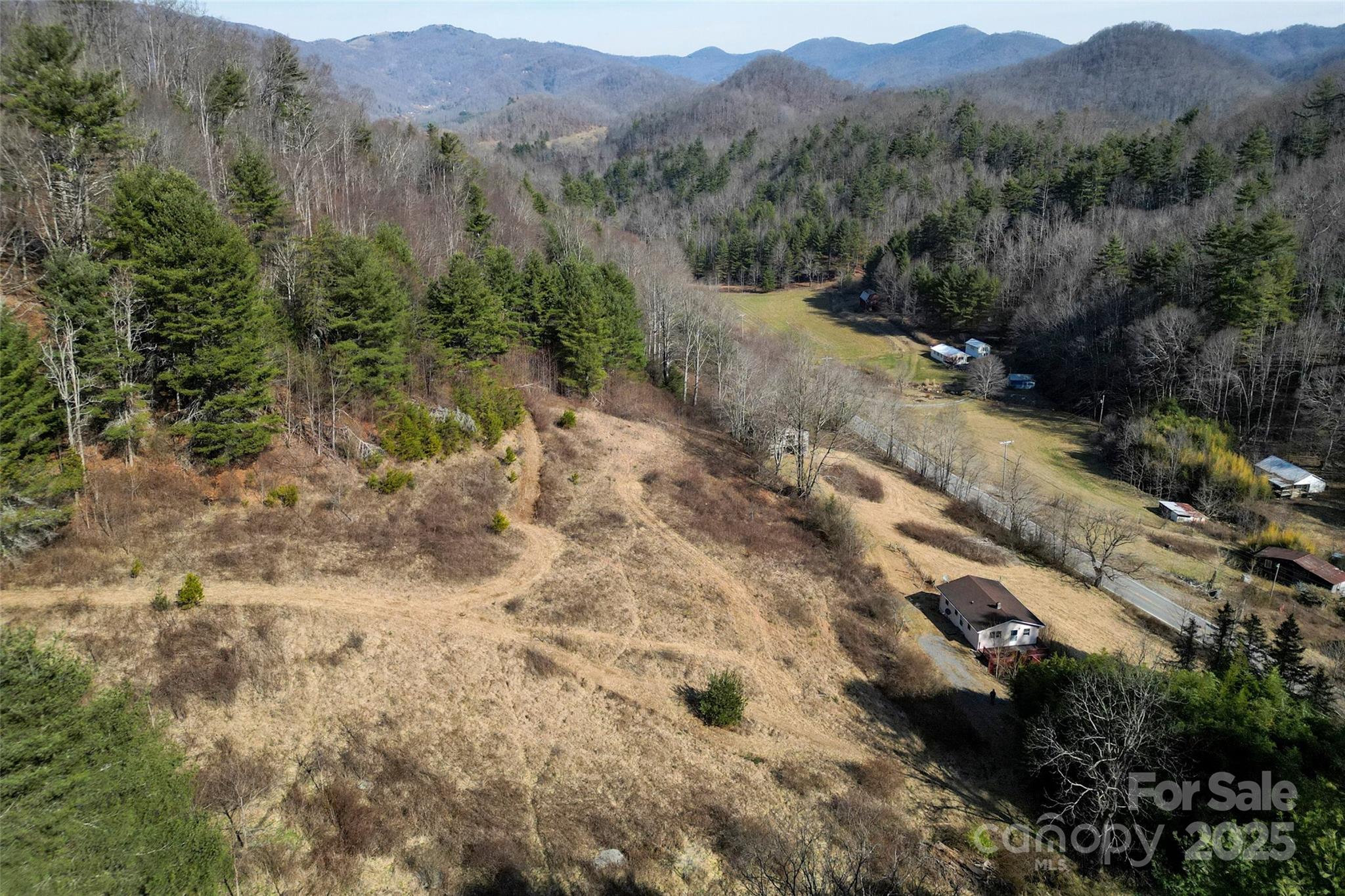10999 Rush Fork Road Clyde, NC 28721 - Photo 34 of 38 a view of a forest with mountains in the background