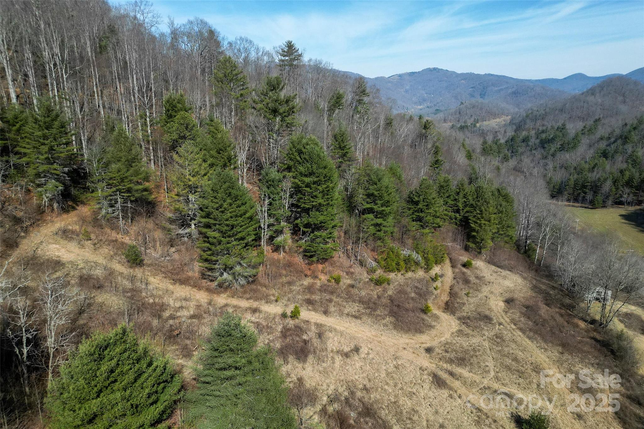 10999 Rush Fork Road Clyde, NC 28721 - Photo 35 of 38 a view of a valley