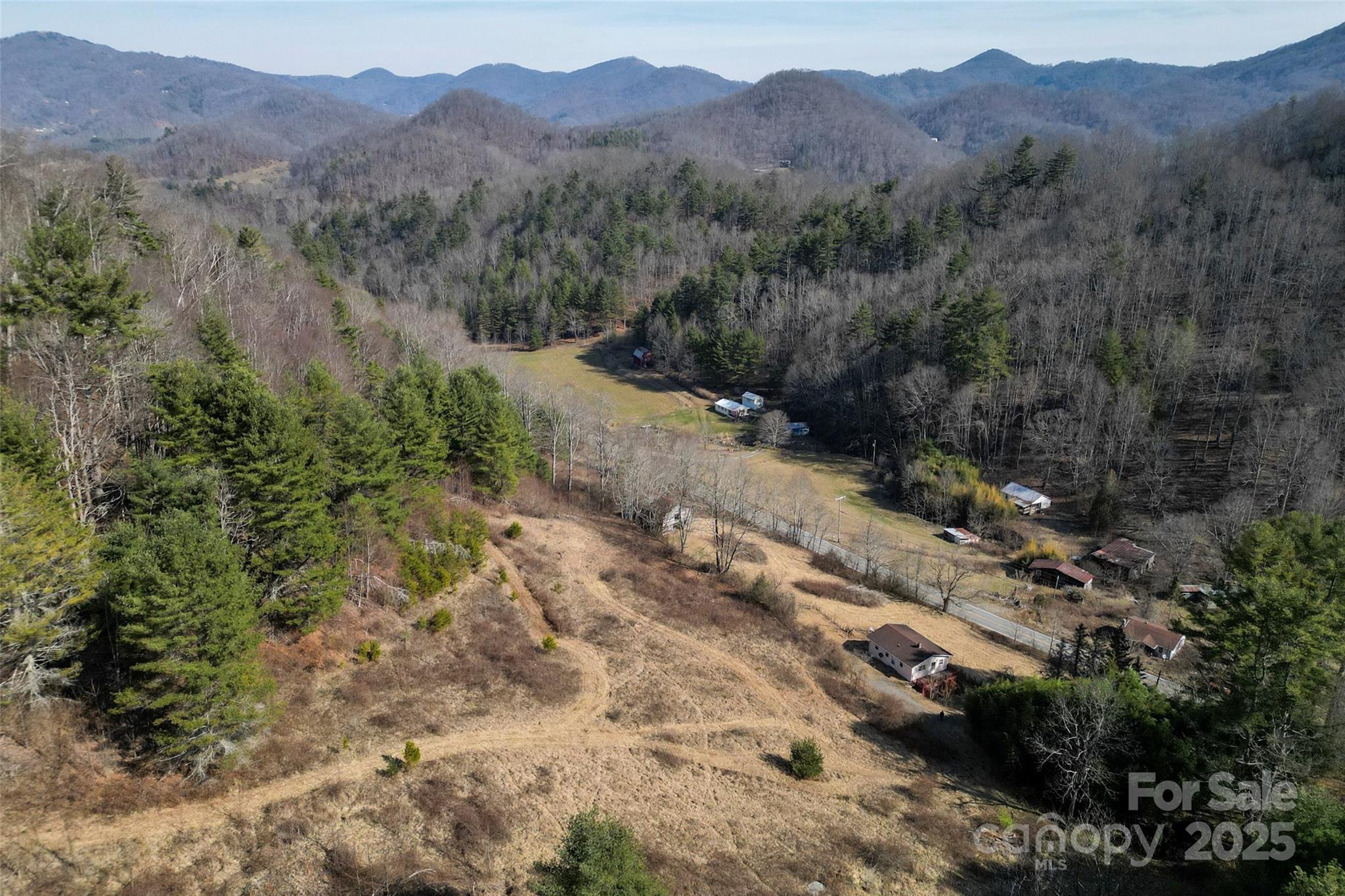 10999 Rush Fork Road Clyde, NC 28721 - Photo 36 of 38 a view of a forest with mountains in the background