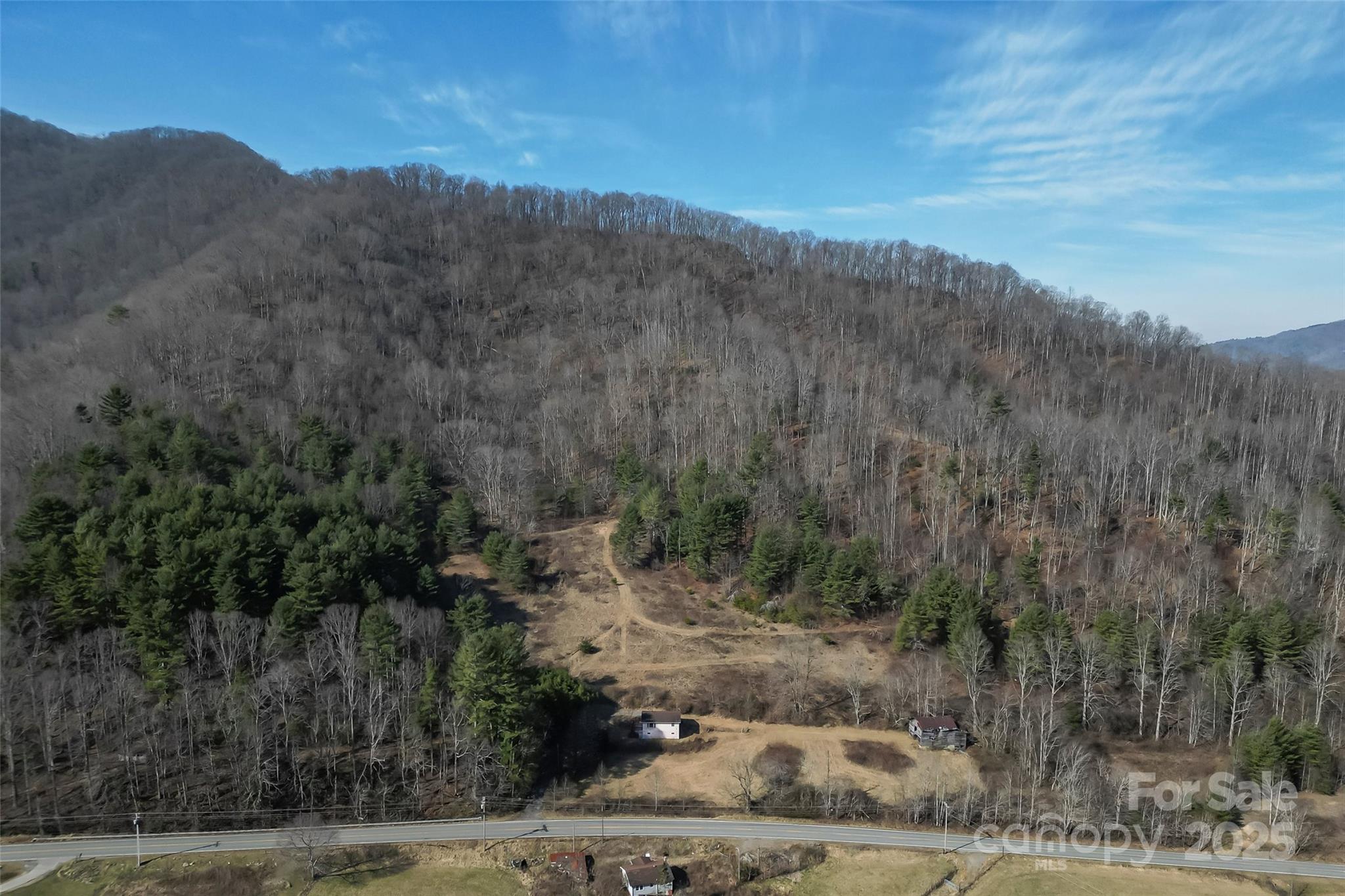 10999 Rush Fork Road Clyde, NC 28721 - Photo 38 of 38 a view of a mountain