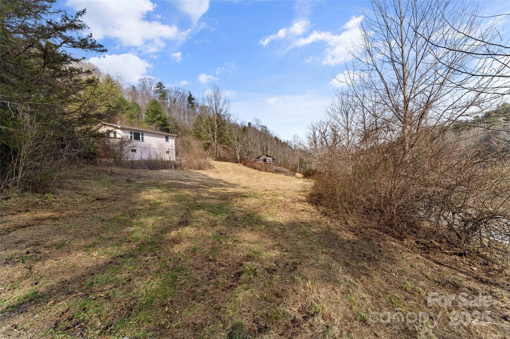 10999 Rush Fork Road Clyde, NC 28721 - Photo 8 of 38 a view of a town with large trees