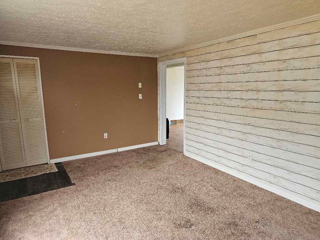 5604 Grapefield Road Bastian, VA 24314 - Photo 6 of 16 Gallery Image 6