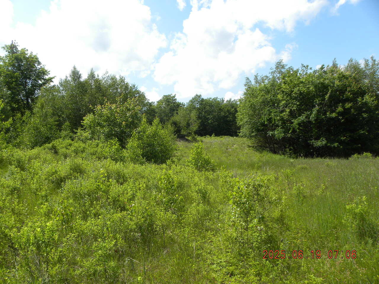 105 Garland Road West Newfield, ME 04095 - Photo 46 of 63 DSCN9414