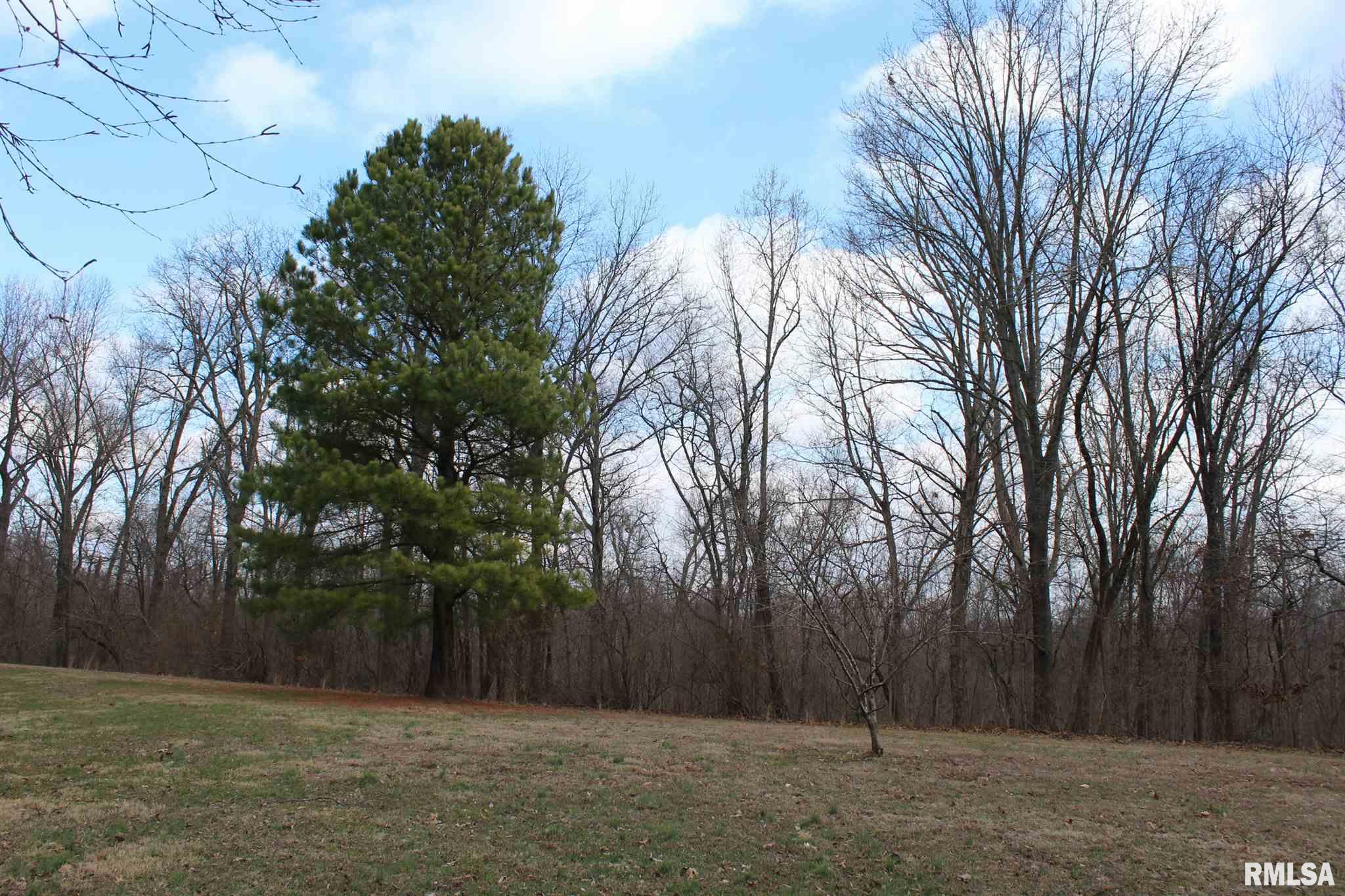 482 North Dogwood Ridge Road Carbondale, IL 62902 - Photo 32 of 32 Gallery Image 32