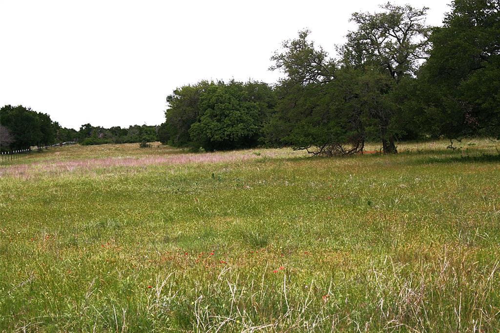 2701 Live Oak Road Santo, TX 76472 - Photo 19 of 39 Open pasture