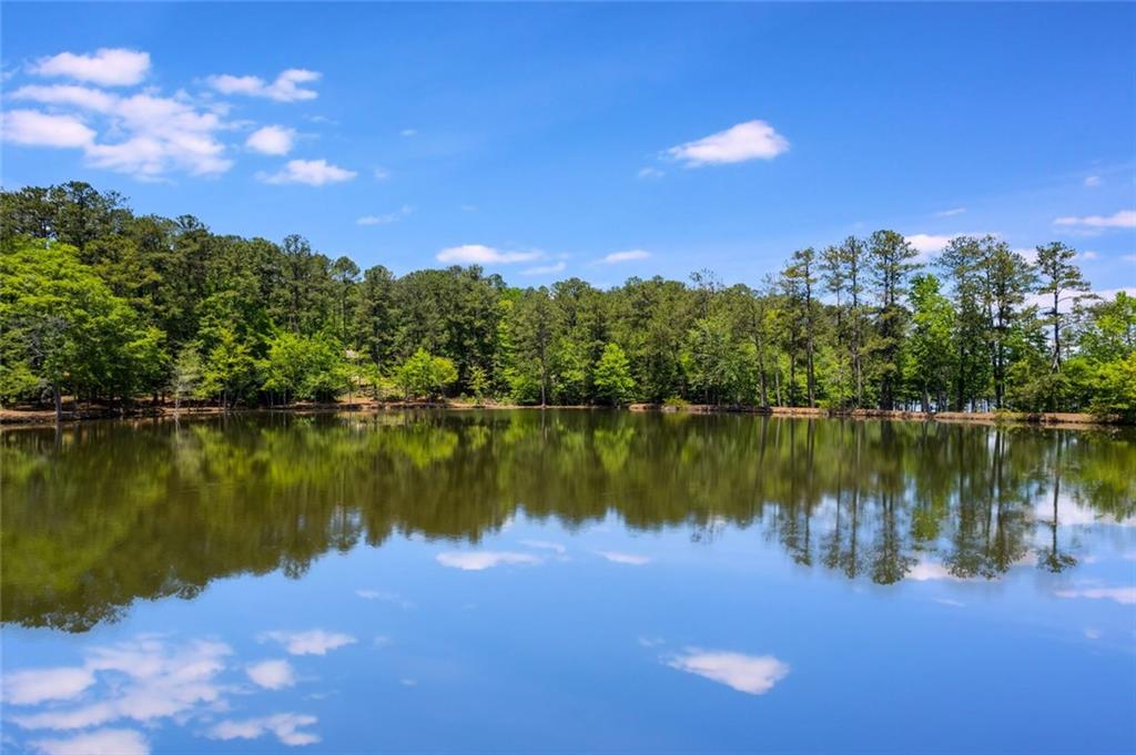 110 Pond View Point LaGrange, GA 30240 - Photo 61 of 68