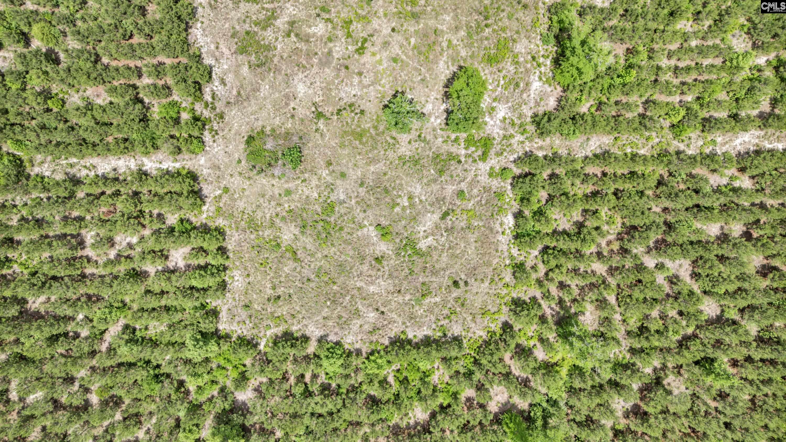 Na Bull Swamp Road North, SC 29112 - Photo 25 of 28