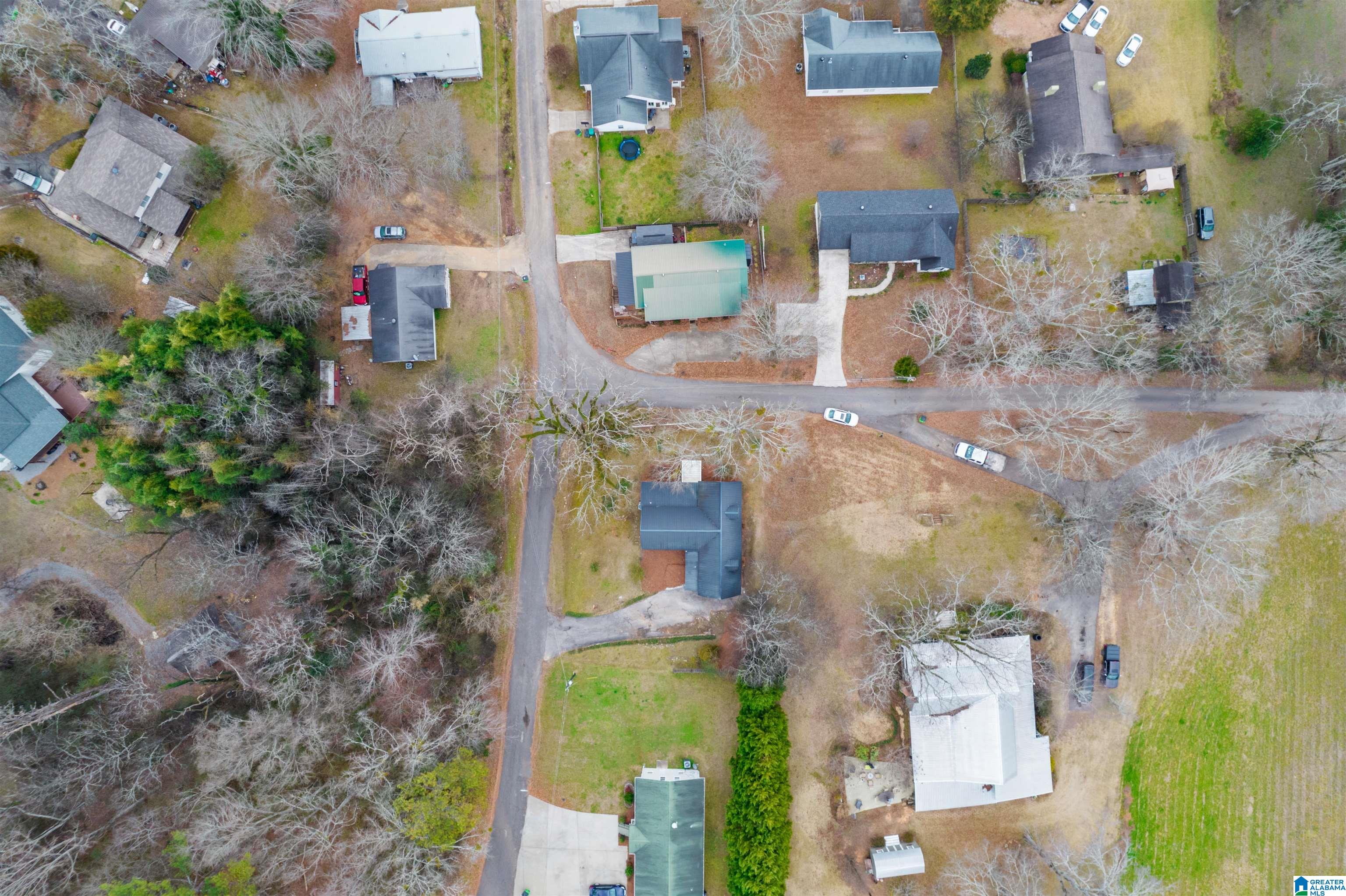 143 Villa Road Springville, AL 35146 - Photo 53 of 58